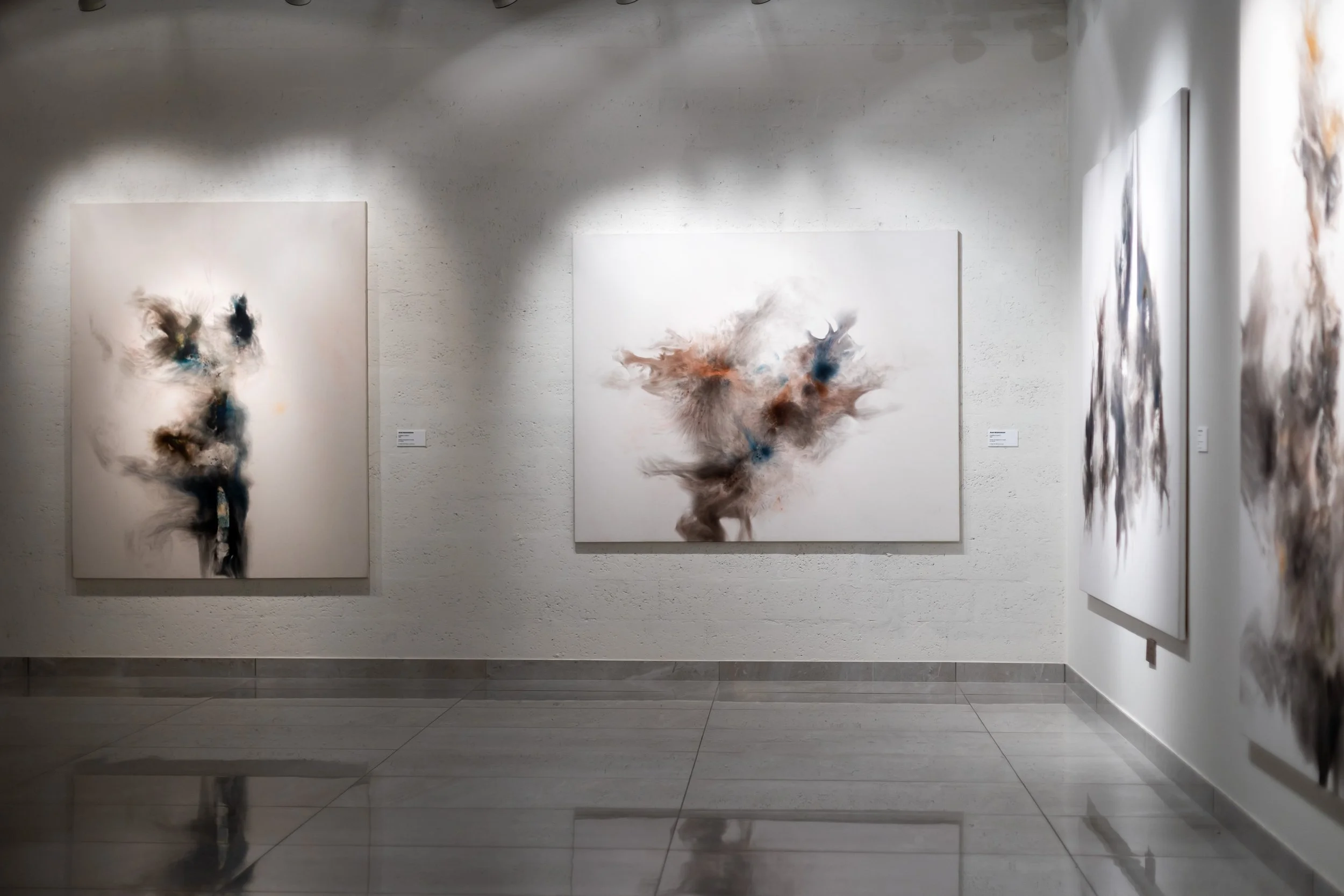 Abstract paintings displayed on gallery walls with soft lighting.