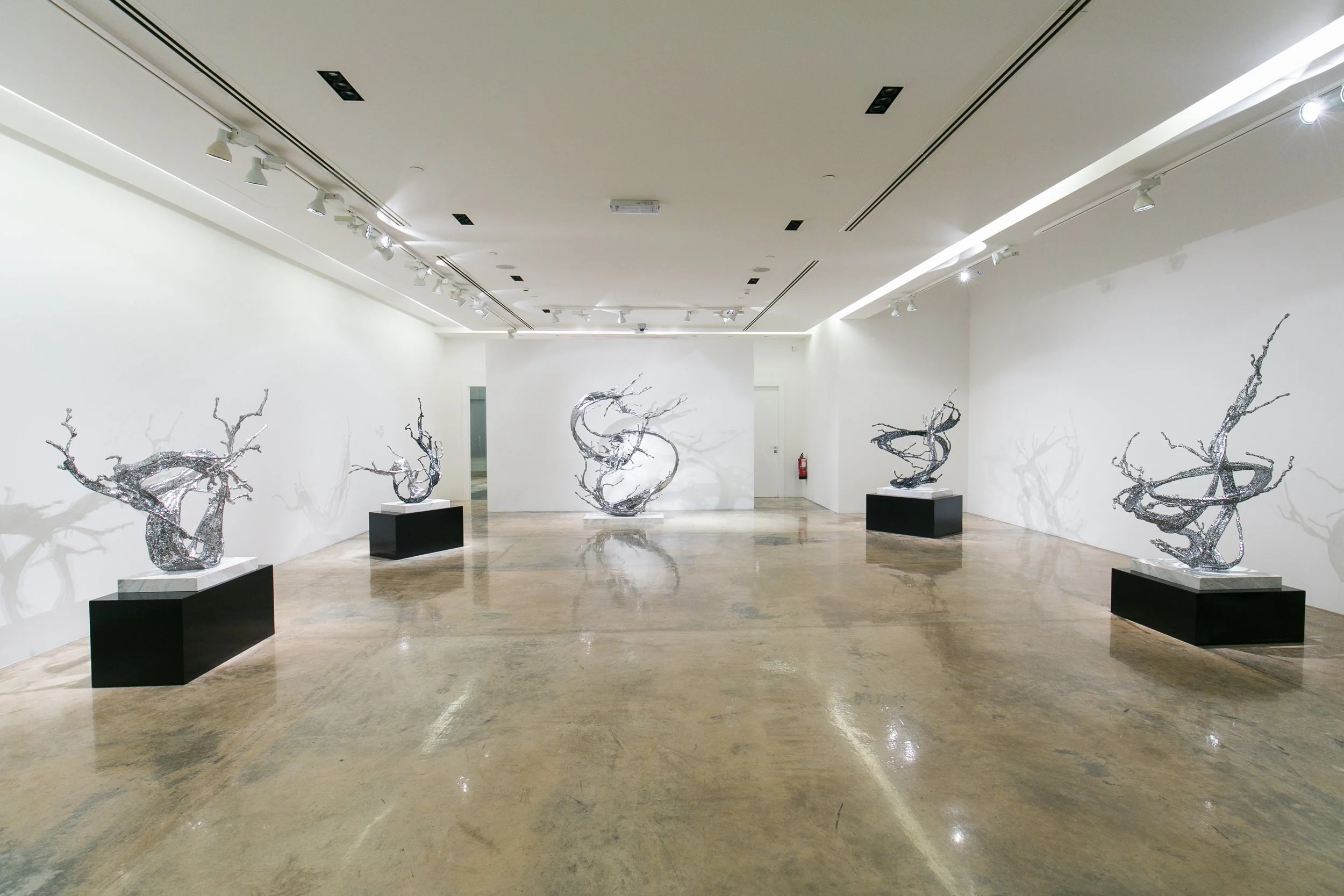Art gallery with five abstract metallic sculptures resembling twisted branches displayed on black pedestals in a spacious white-walled room.