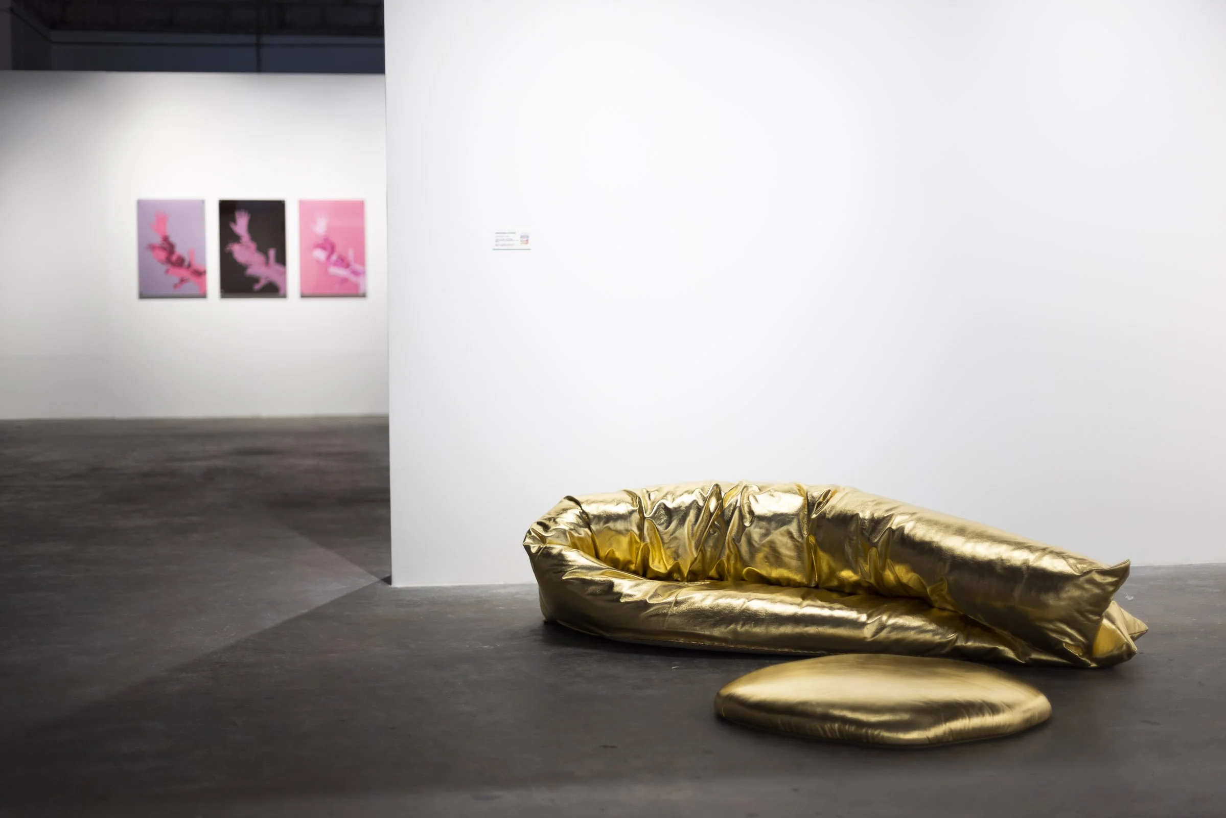 Eruption exhibition presenting works by Anachar Basbous curated by Mohamad Ali Makouk for Core Art Strategies art consultancy