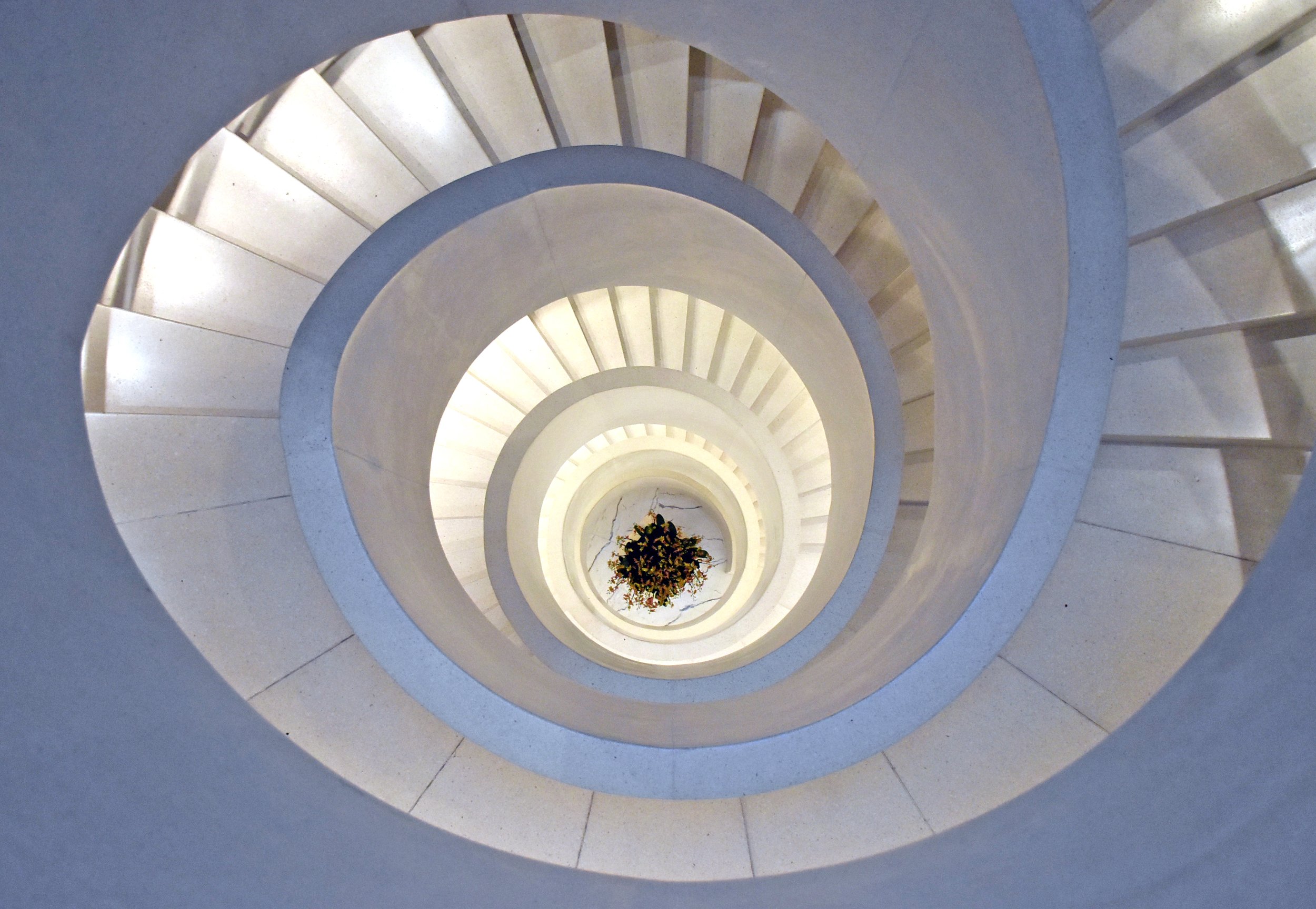 Looking down a spiral staircase with a plant at the bottom