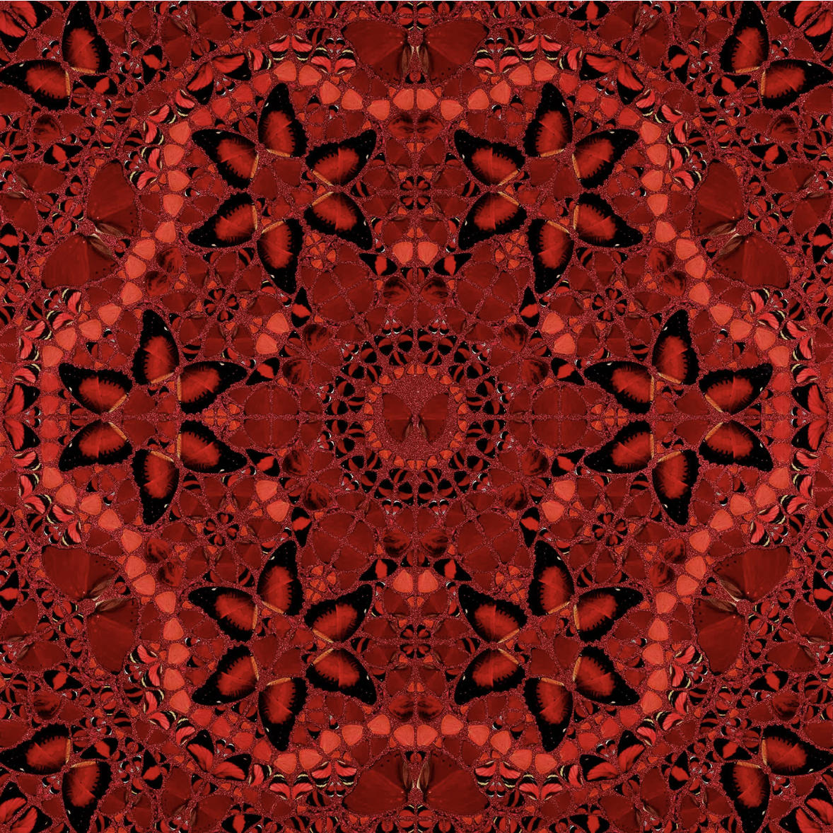 Butterfly artwork by Damien Hirst installed at St. Regis Marsa Arabia Private Island, Doha as part of the curated art program by Core Art Strategies.