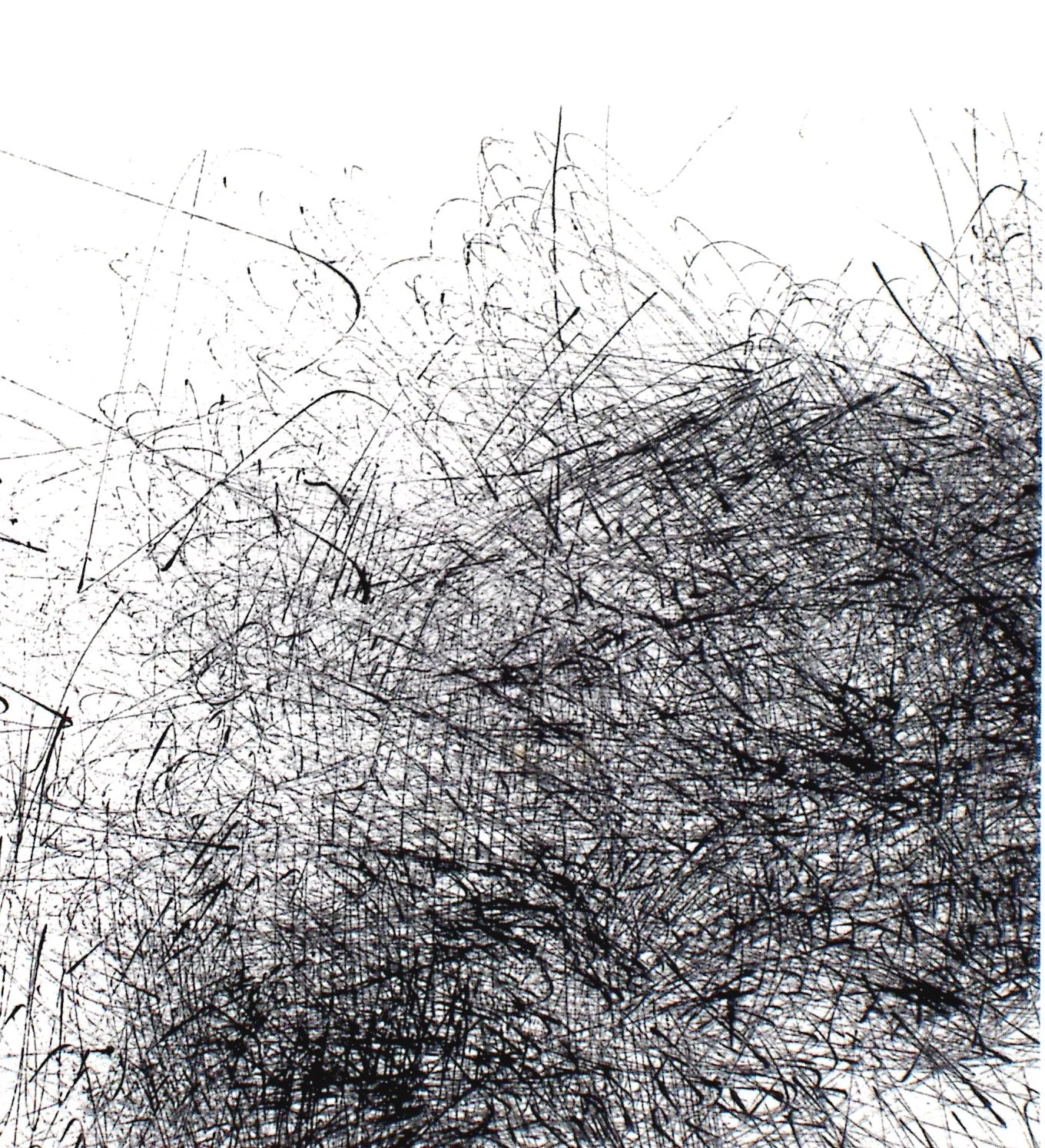 Lines in Silence