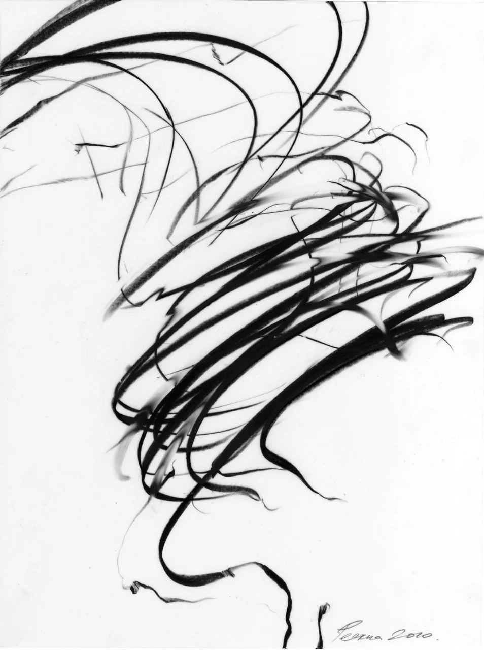 Air Dance Series 2010