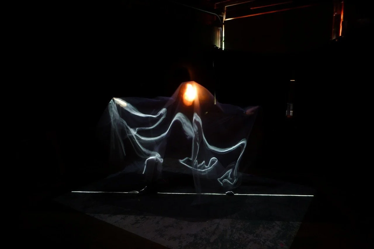 Lines of Light 2013