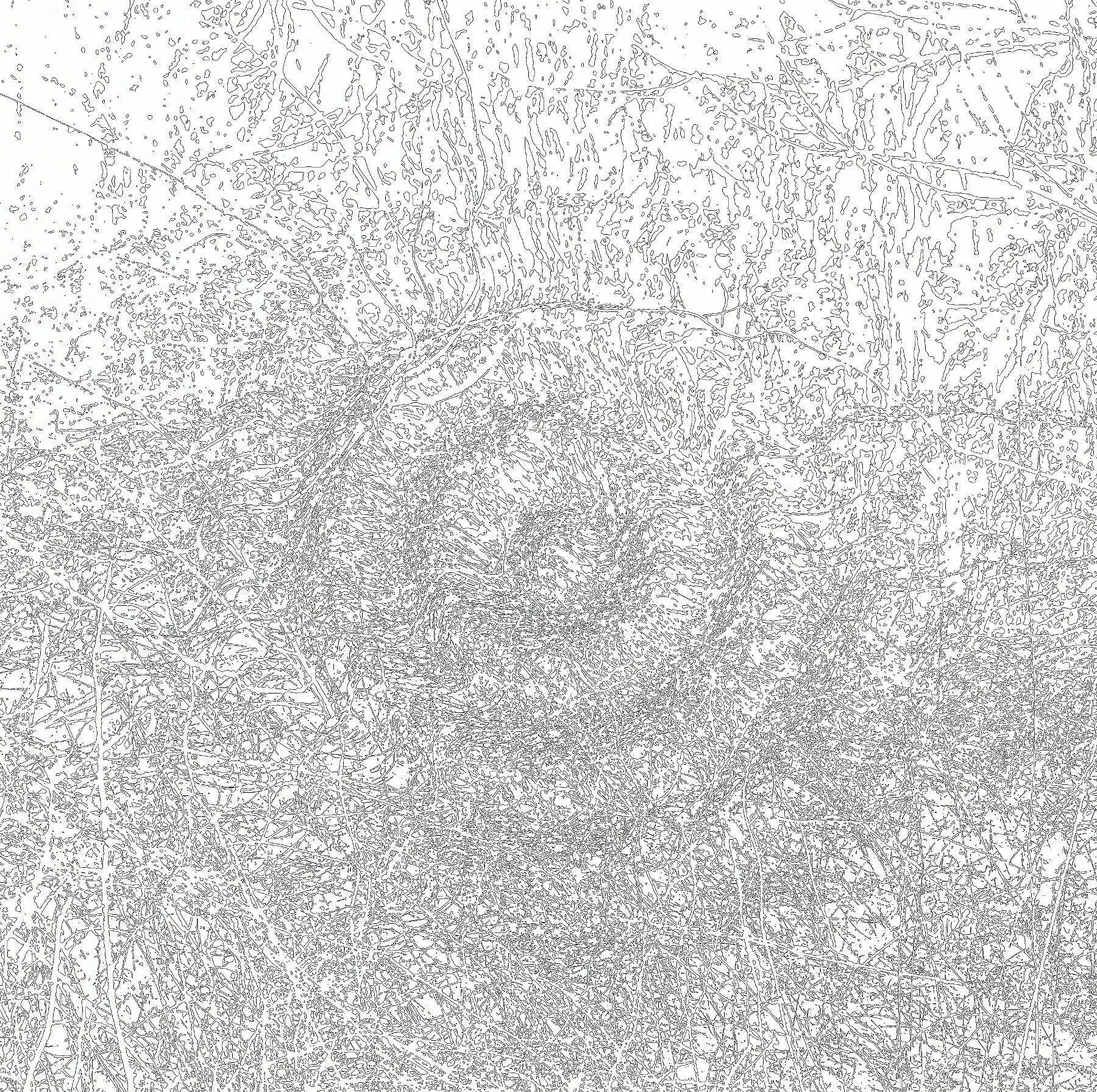 Digital Alterations 2001–2005