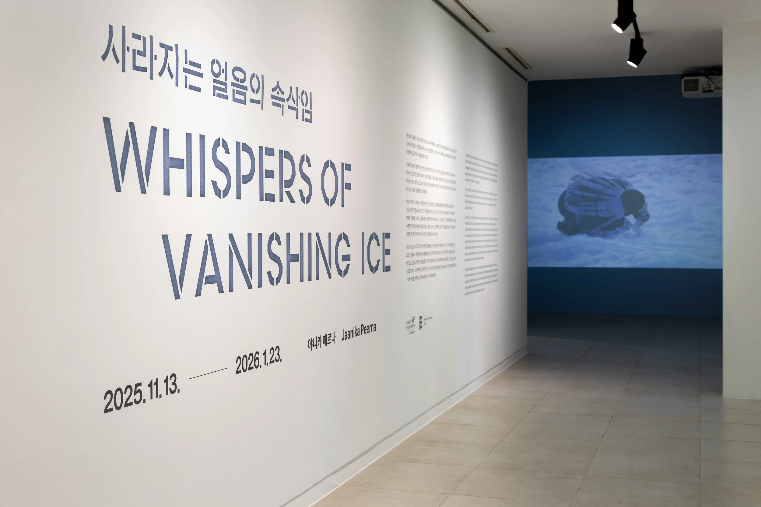 Whispers of Vanishing Ice 2025–2026