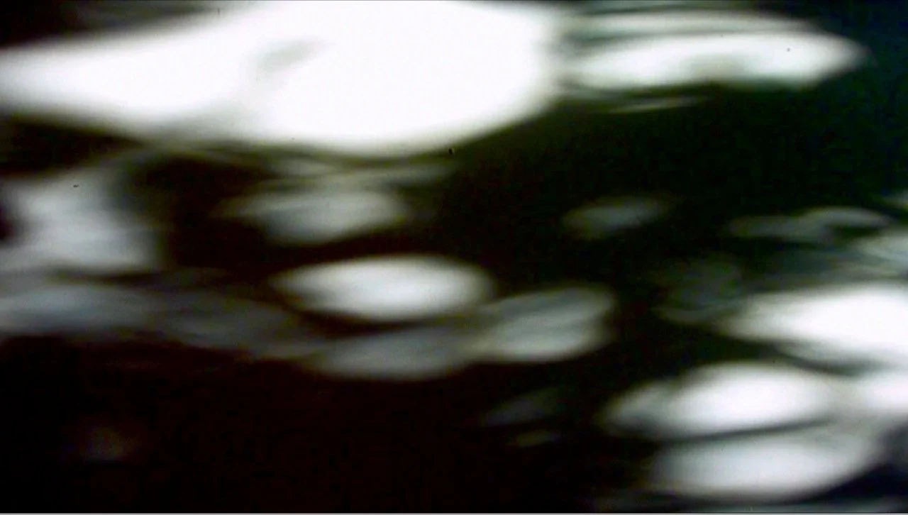Windswept Light 2011