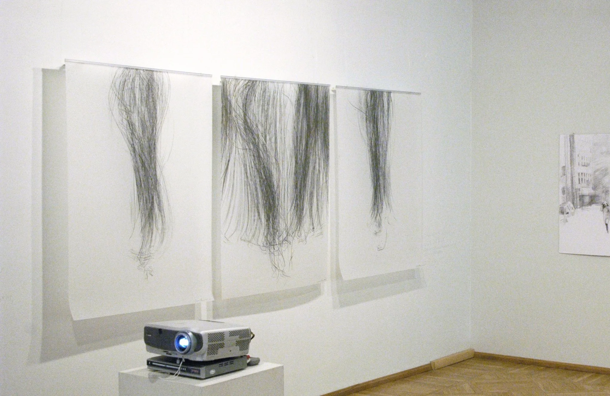 Free Fall Series 2012
