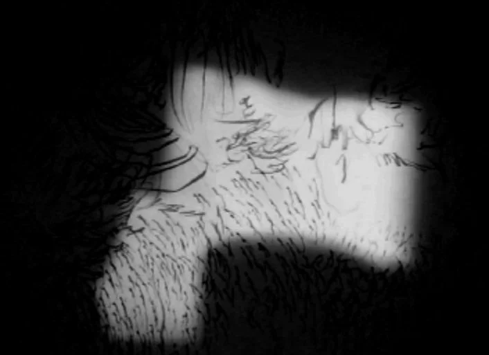 Live Light 2008