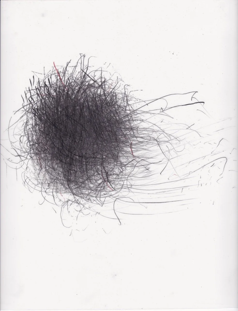 Puff Series 2013