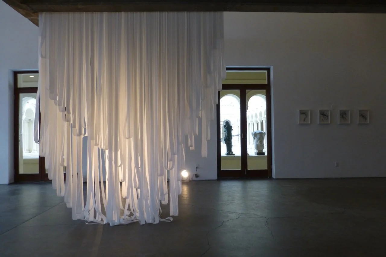 Liquid Light 2013
