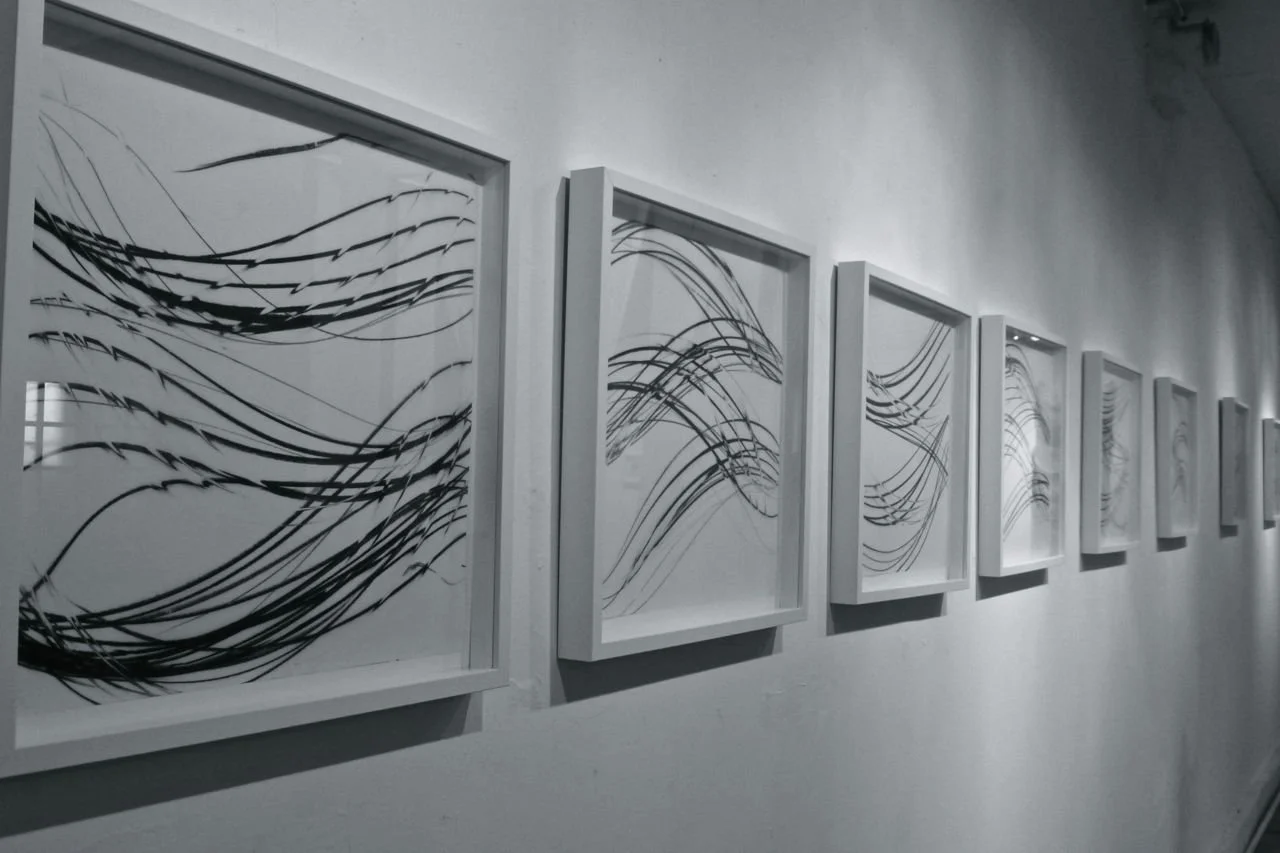 Determined Flow 2014