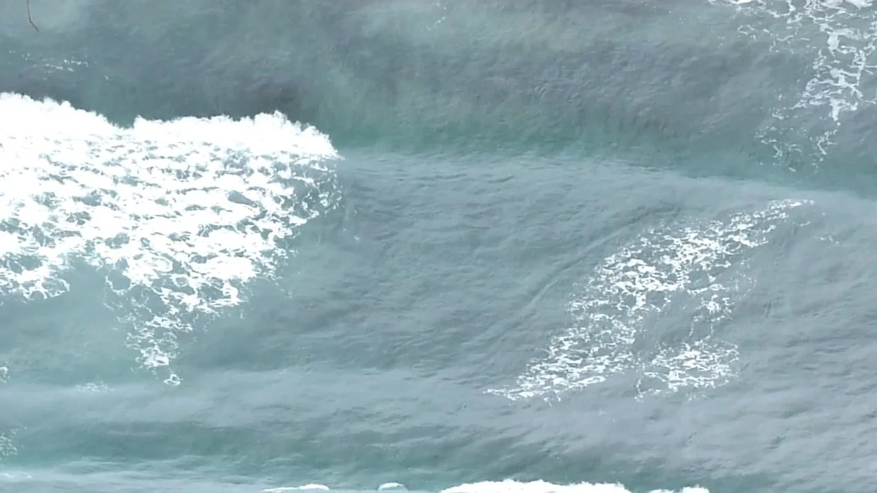 Rising Waters 2013
