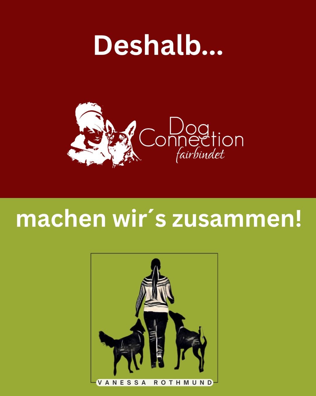 Hundebegegnung an der Leine