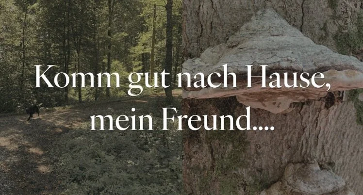 Komm gut nach Hause, mein Freund…