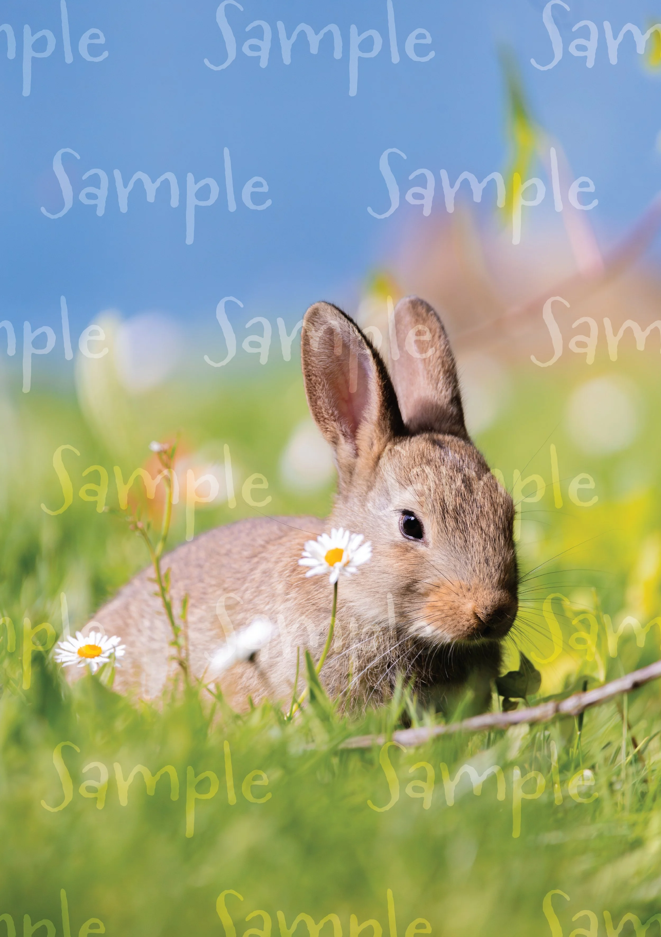 Sample-08.jpg