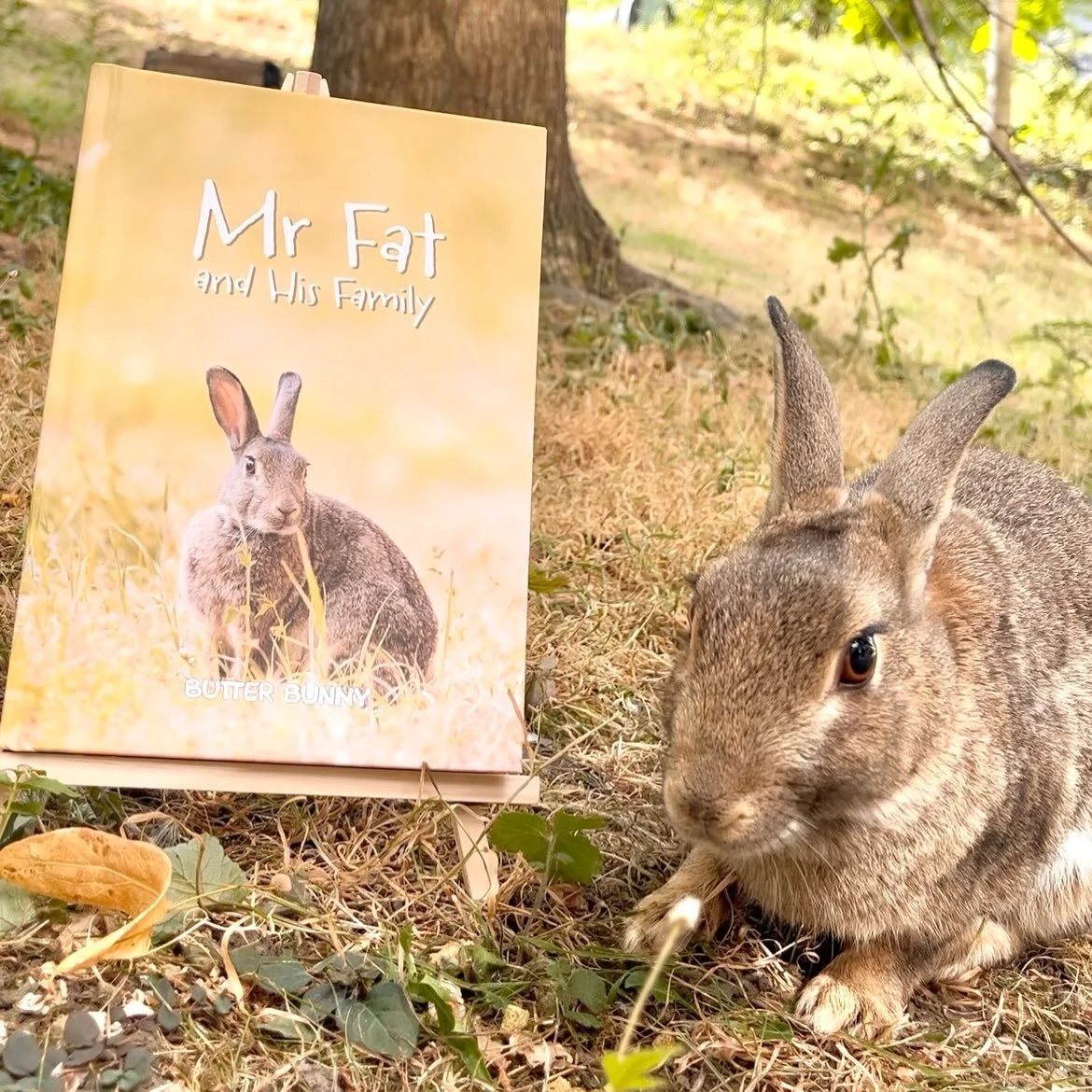 A photography storybook &ldquo;Mr Fat and his family&rdquo; about a family of rabbits living on the University of Leeds campus.

Available in limited quantities on the event day!

❤️🐇🐇🐇🐇🐇🐇🐇🐇🐇🐇🐇

Saturday, 29 August 2026

Leeds Kirkgate Mar