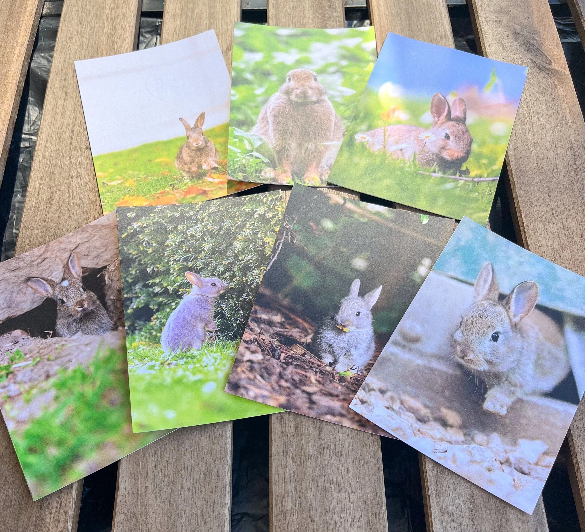The adorable wild rabbit postcards have arrived 🌿 

Capturing nature's little elves🐰❤️, they will be available in limited quantities on the event day. 

🍀🍀🍀🍀🍀🍀🍀🍀🍀🍀🍀🍀🐇

Saturday, 29 August 2026

Leeds Kirkgate Market

10:00 AM &ndash; 4