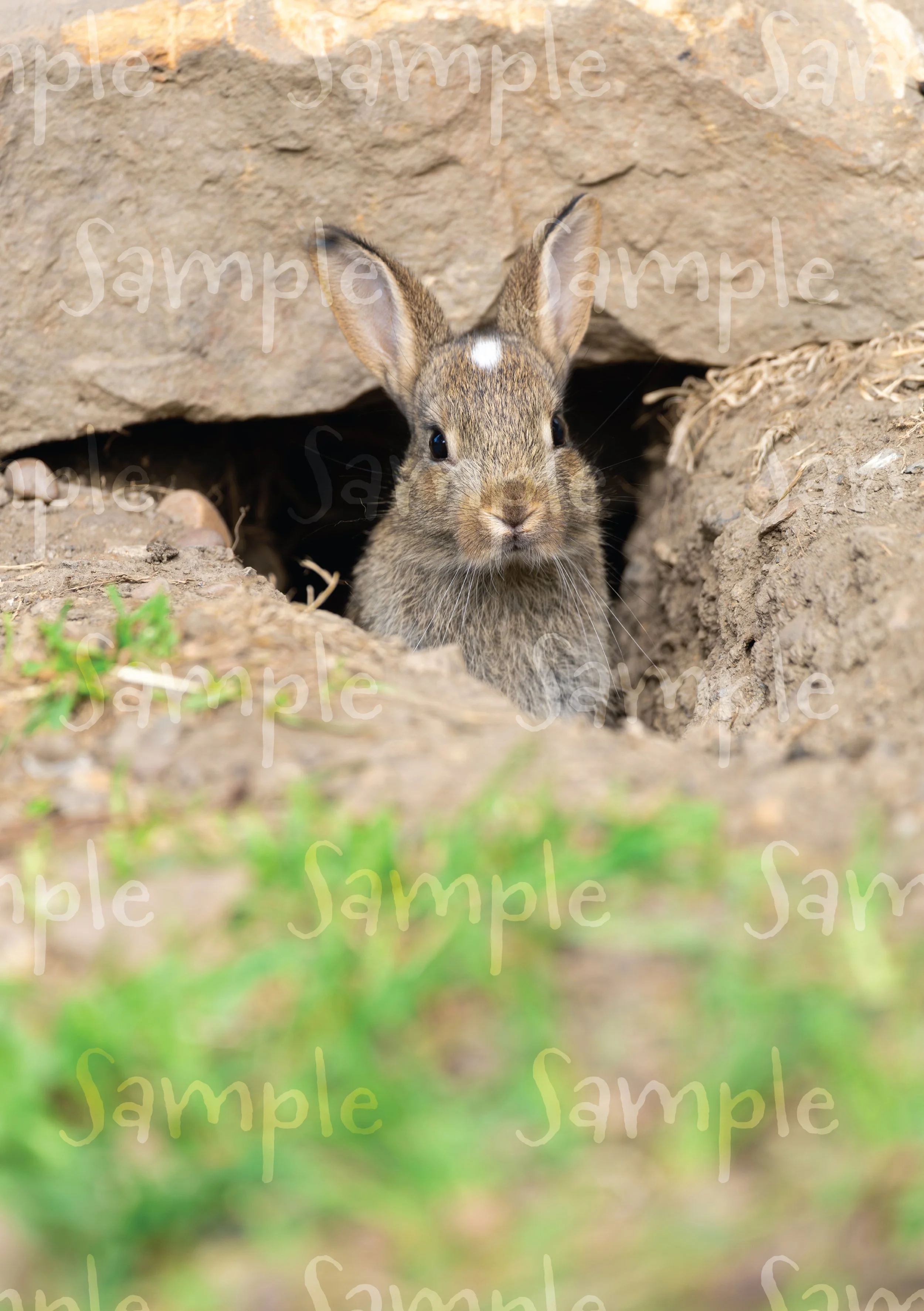 Sample-02.jpg