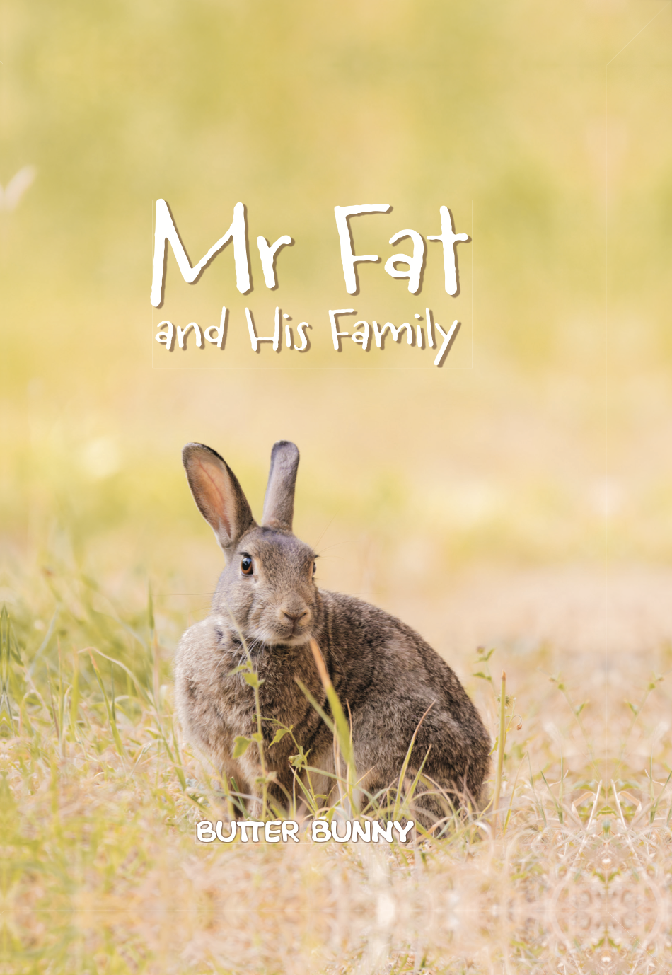 Mr Fat And His Family