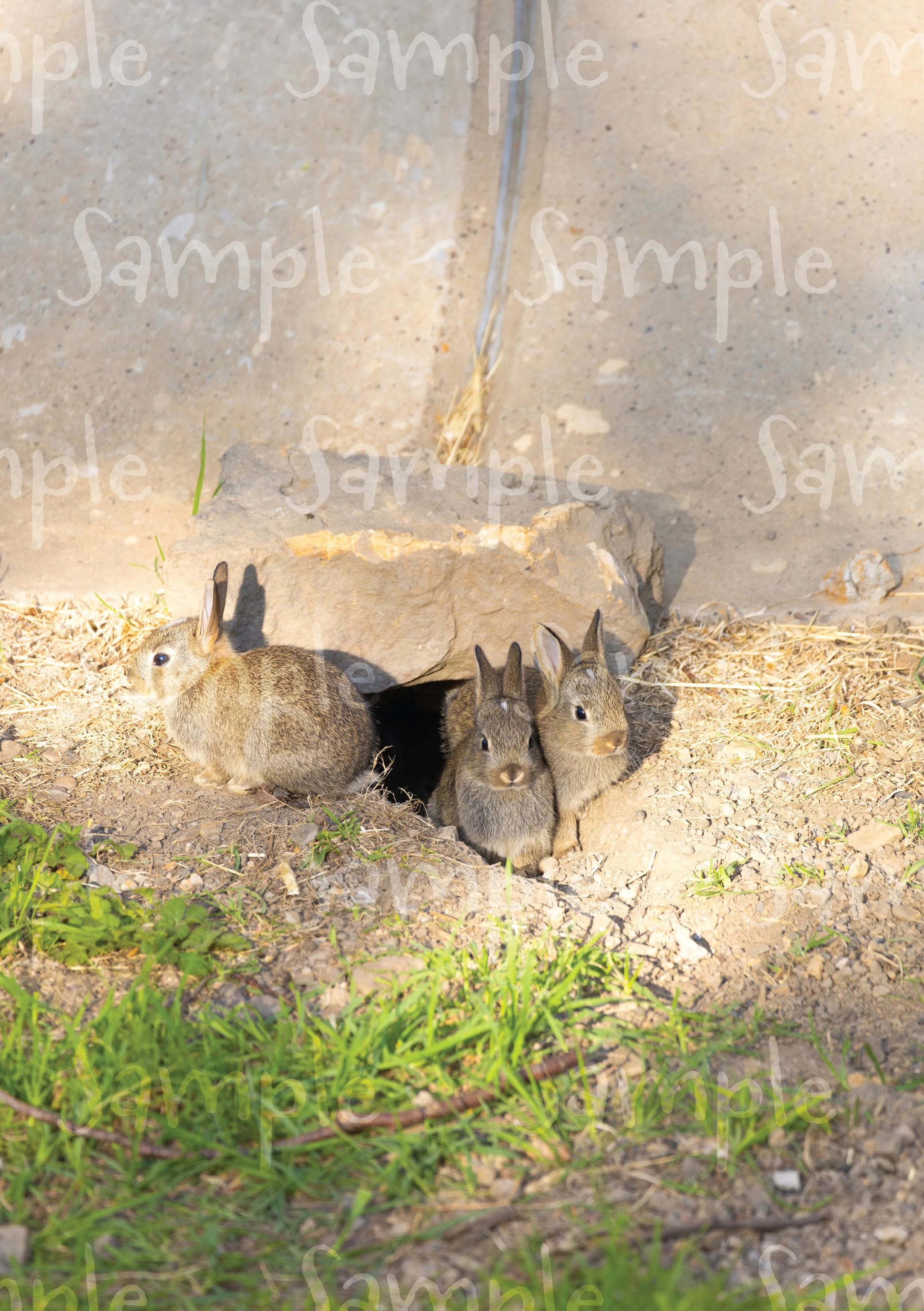 Sample-06.jpg