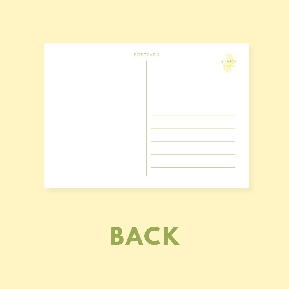 BACK-2.jpg