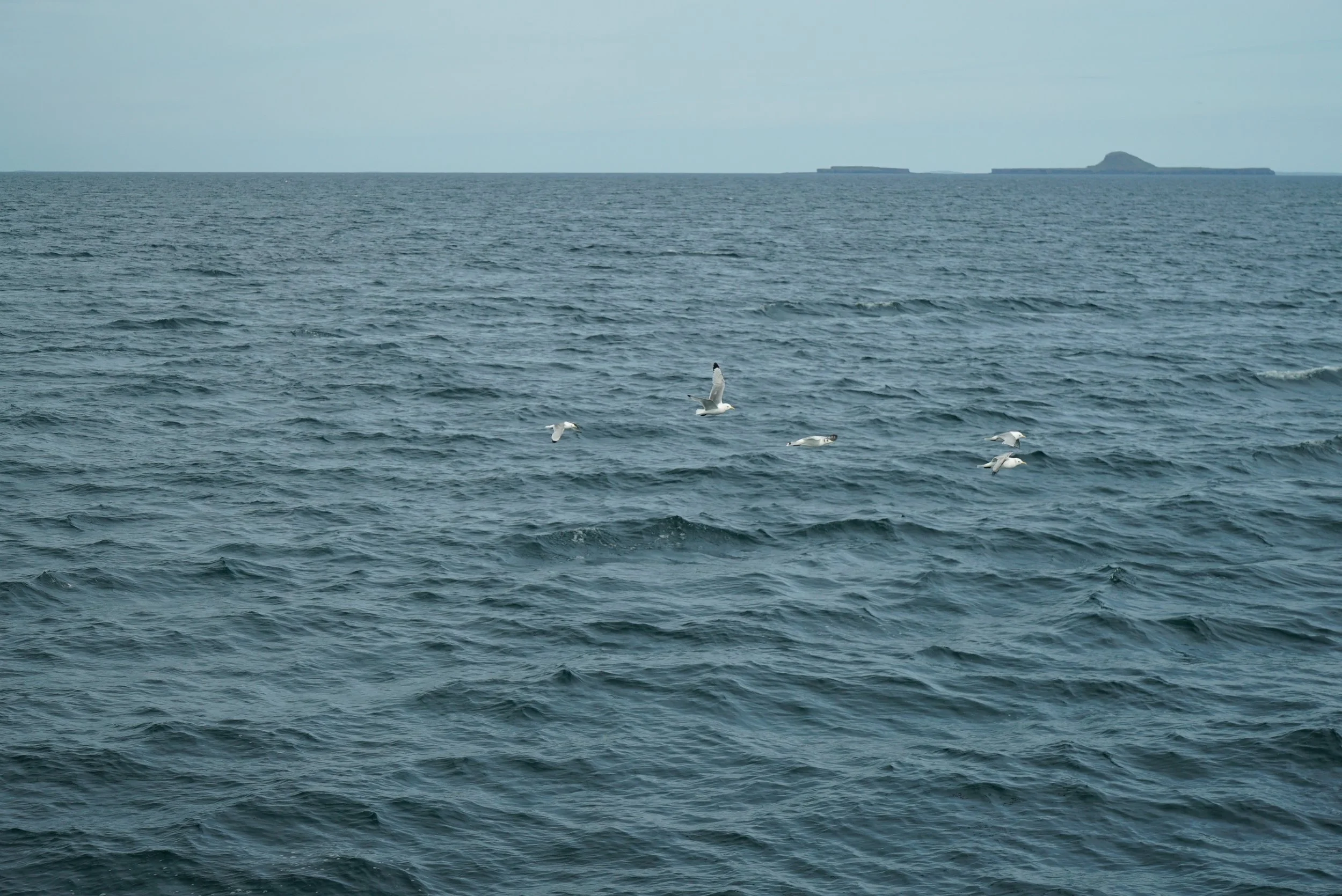DSC02914.JPG