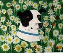 Cali Among the Daisies