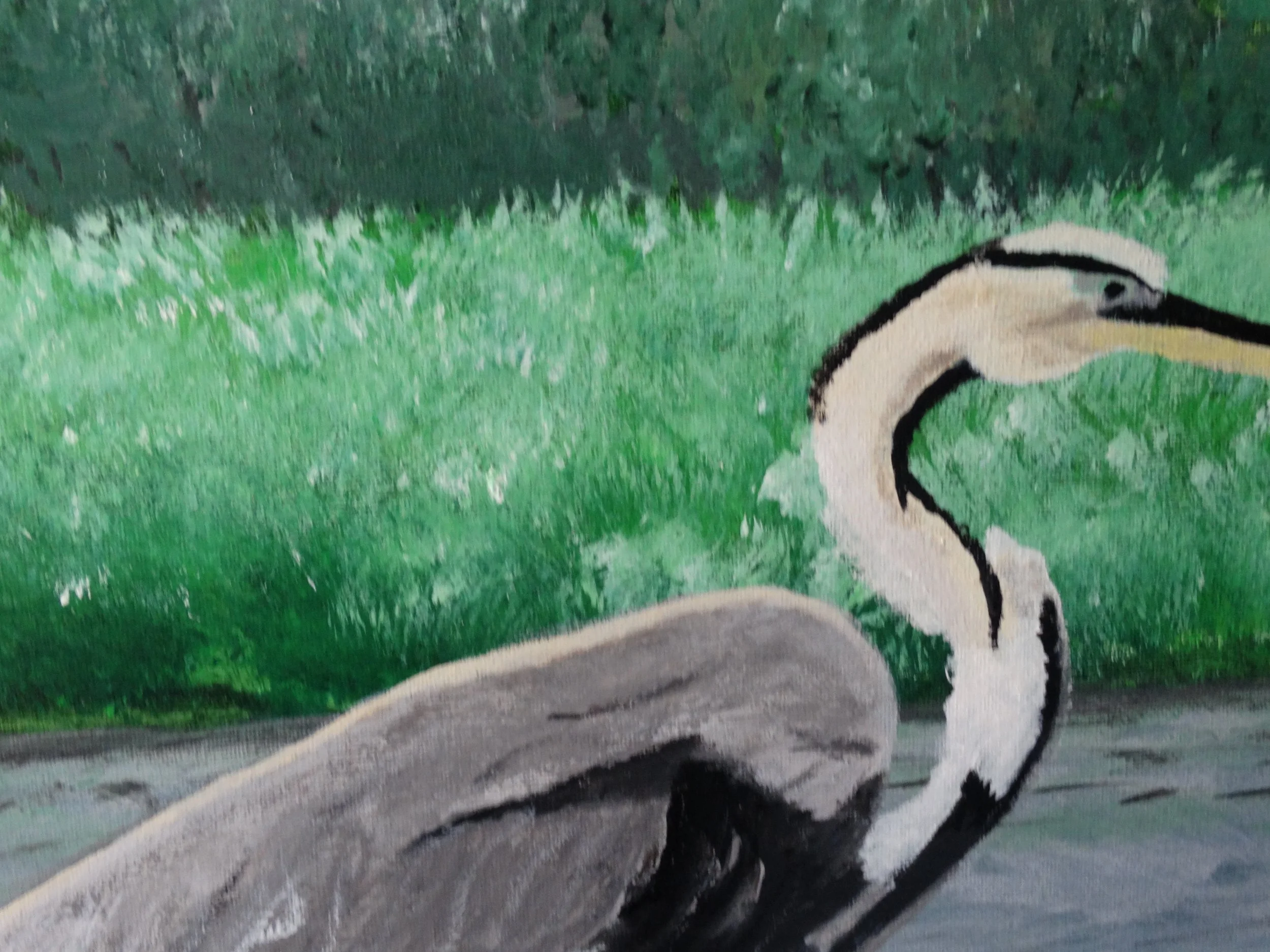 GREAT BLUE HERON ON DOCK BRUSH.JPG.JPG