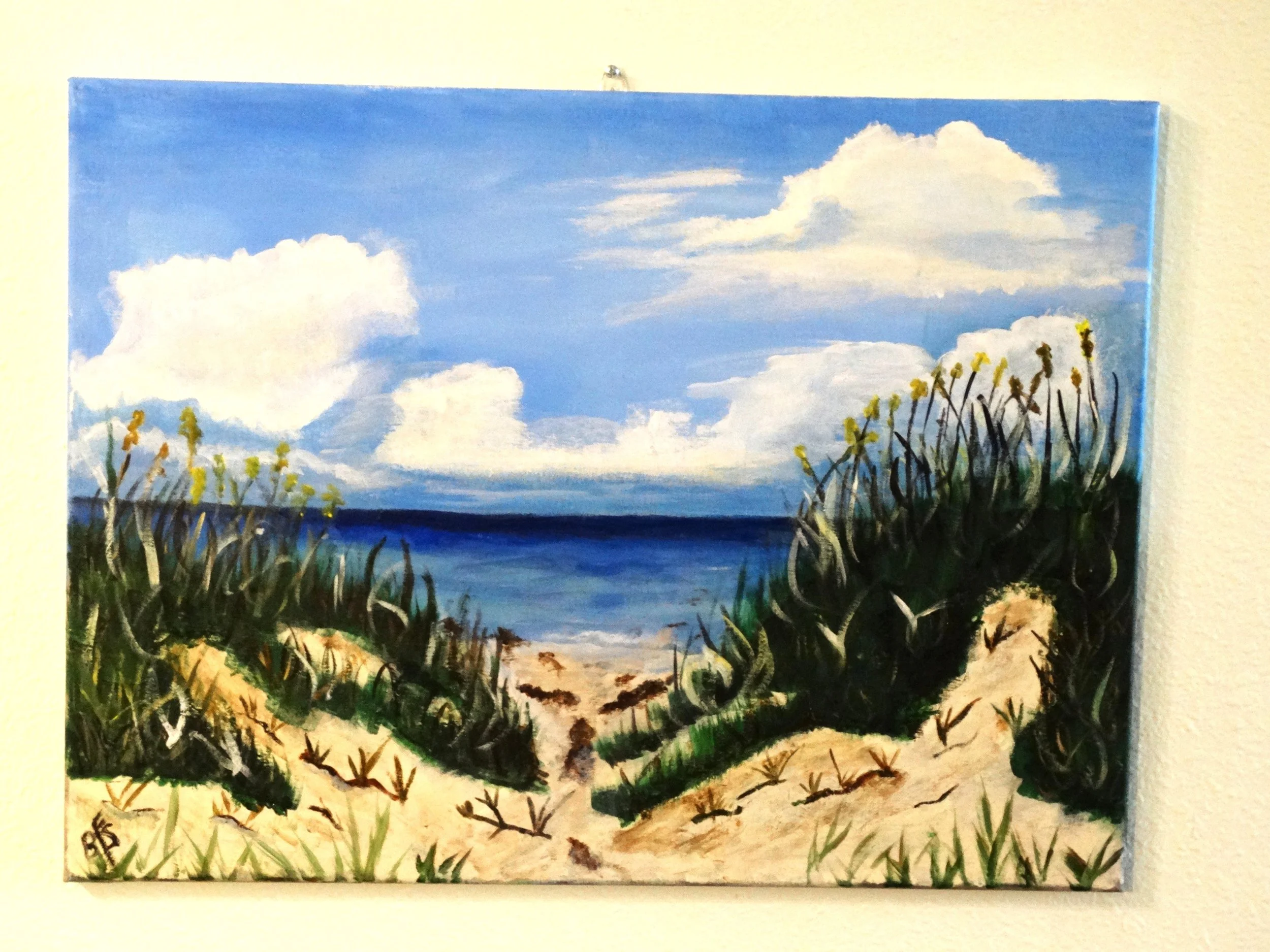 BEYOND THE SEA OATS WALL.JPG.JPG