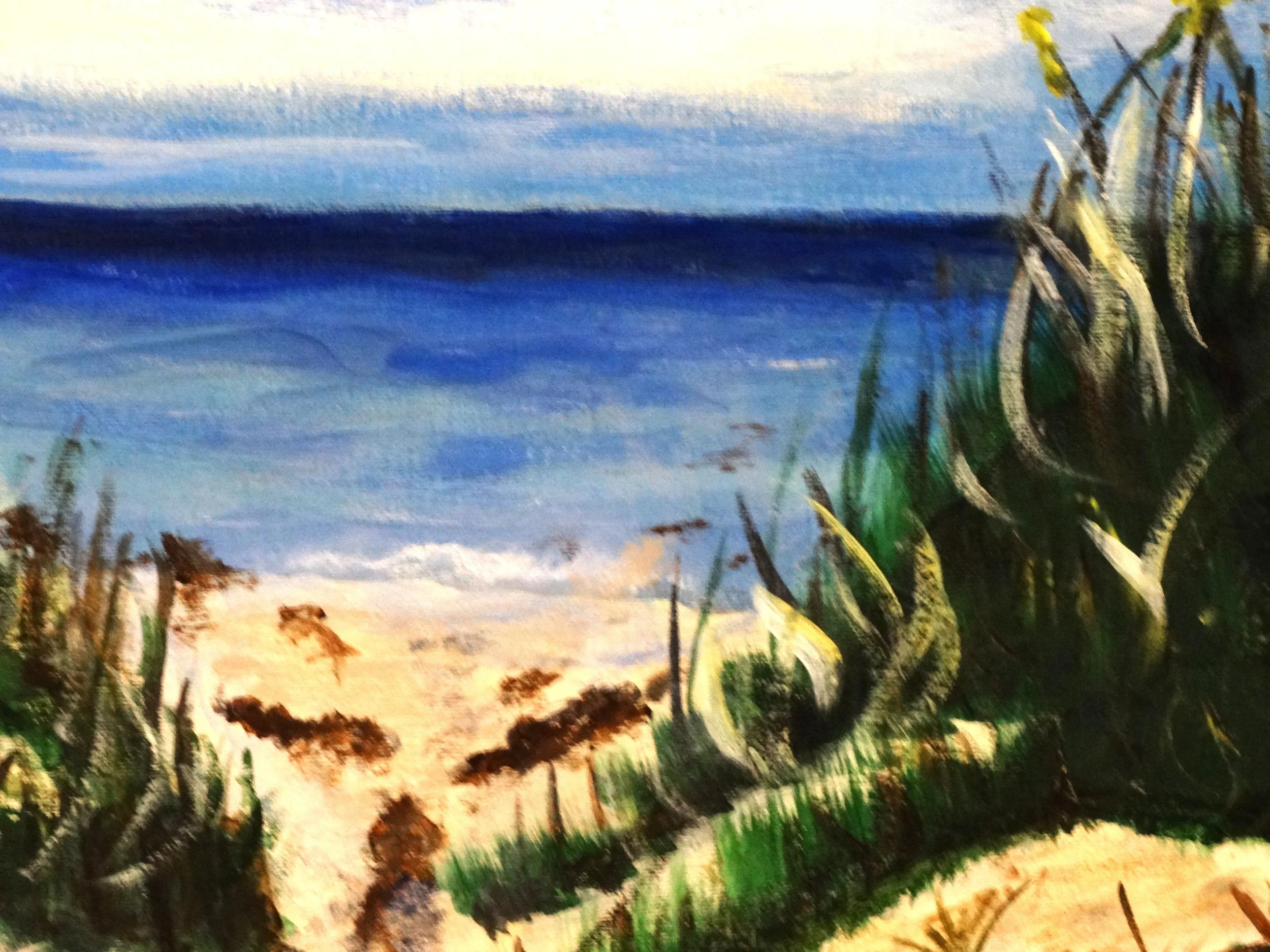 BEYOND THE SEA OATS BRUSH.JPG.JPG