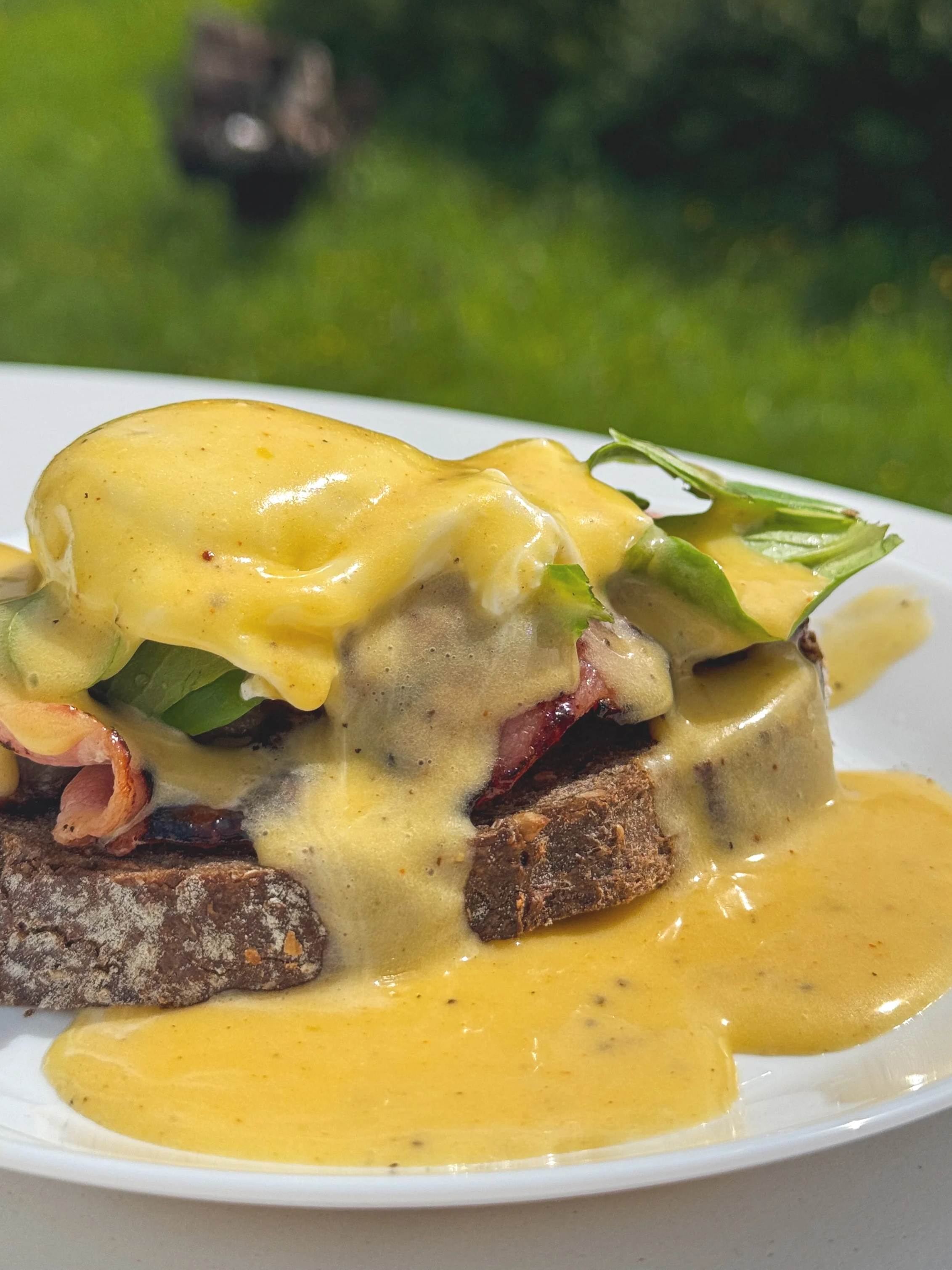 A close-up of eggs benedict on a toasted English muffin, topped with poached eggs, ham, and hollandaise sauce, served on a white plate with a green outdoor background.