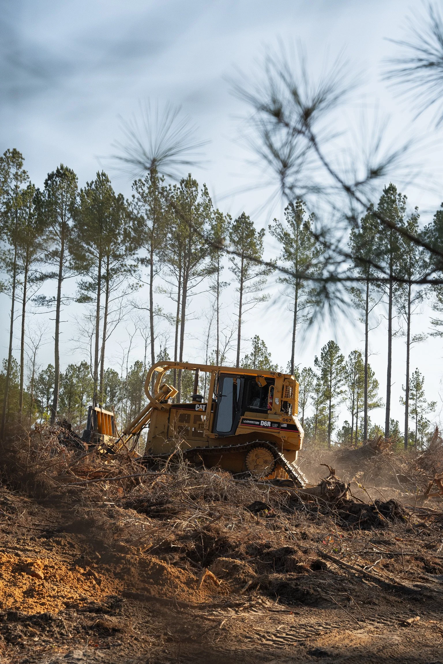 Commercial Site Clearing