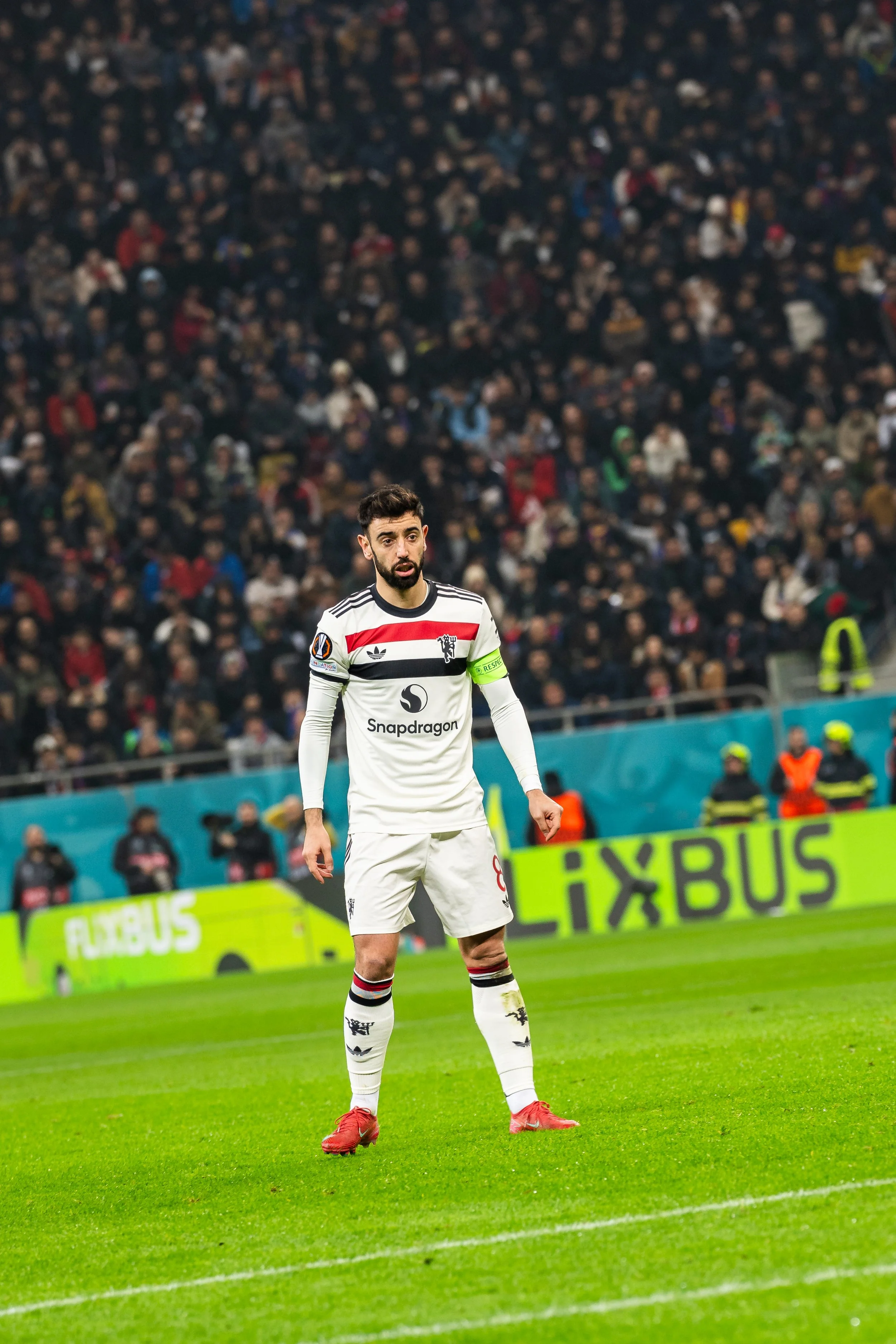 steaua - united-45.jpeg