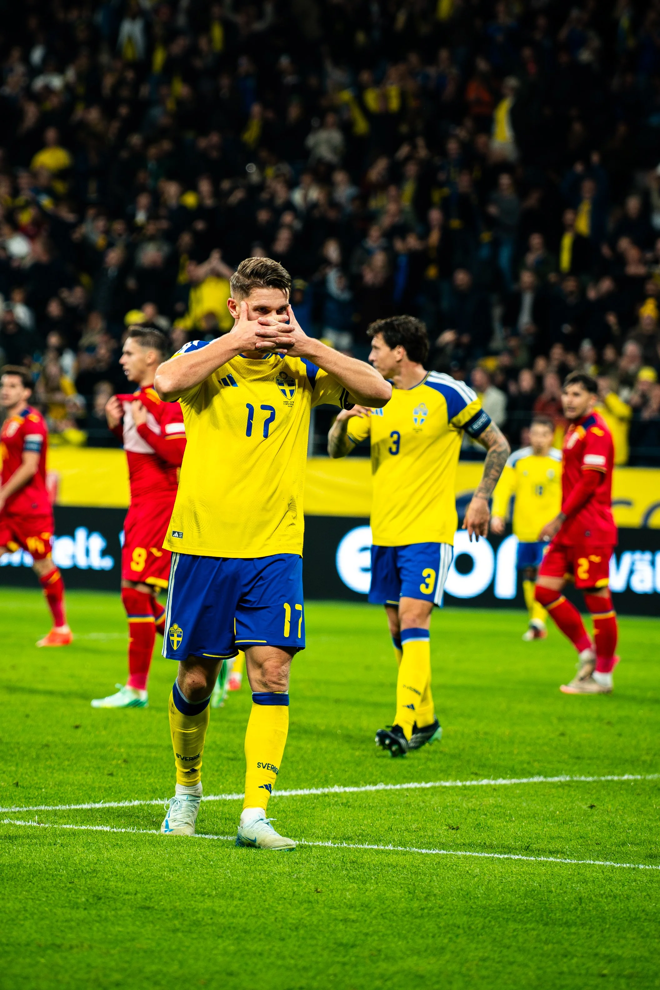 Sweden-Romania 26.09-14.jpg