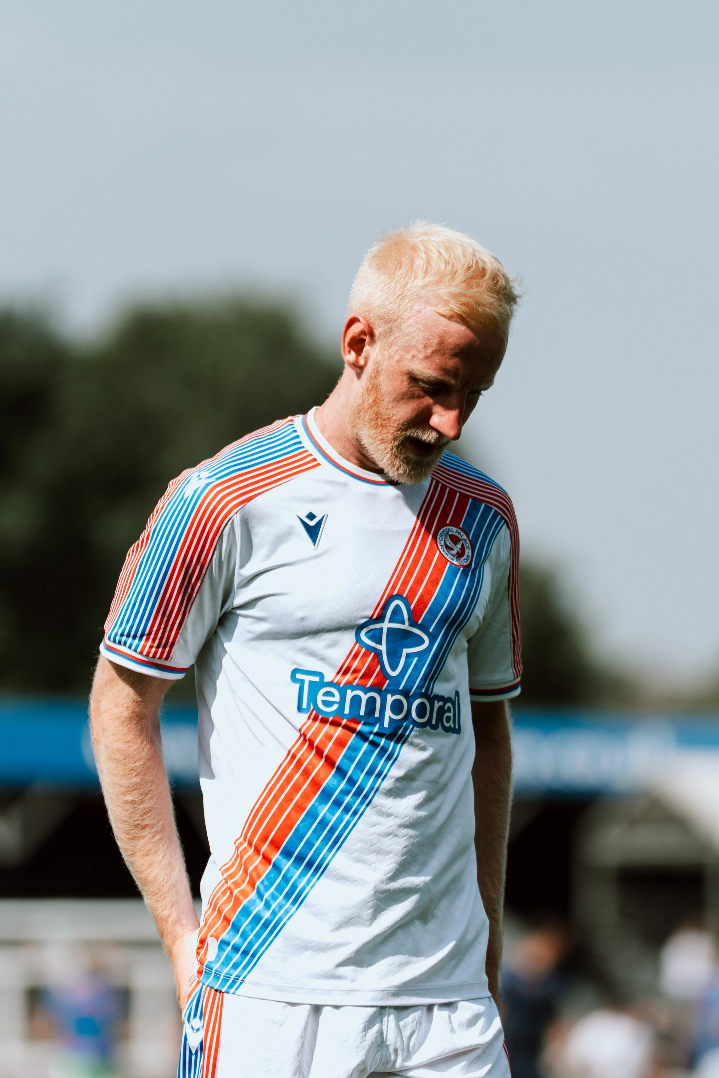 Palace-52.jpg