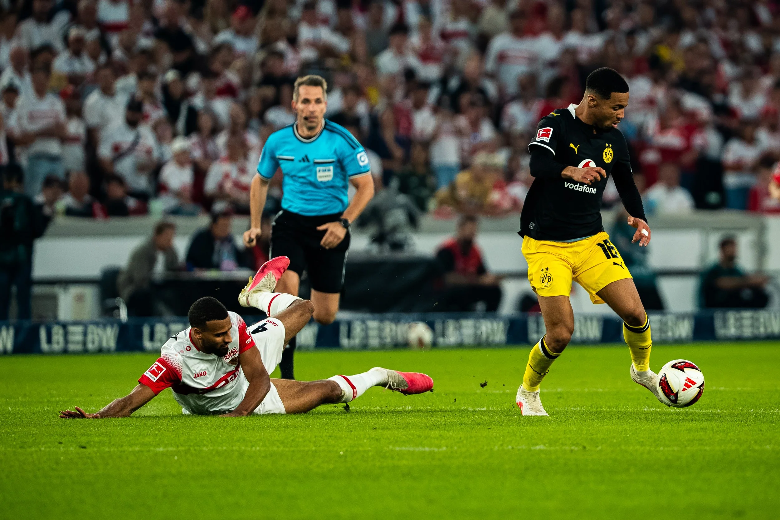 VfB - BVB-36.jpg