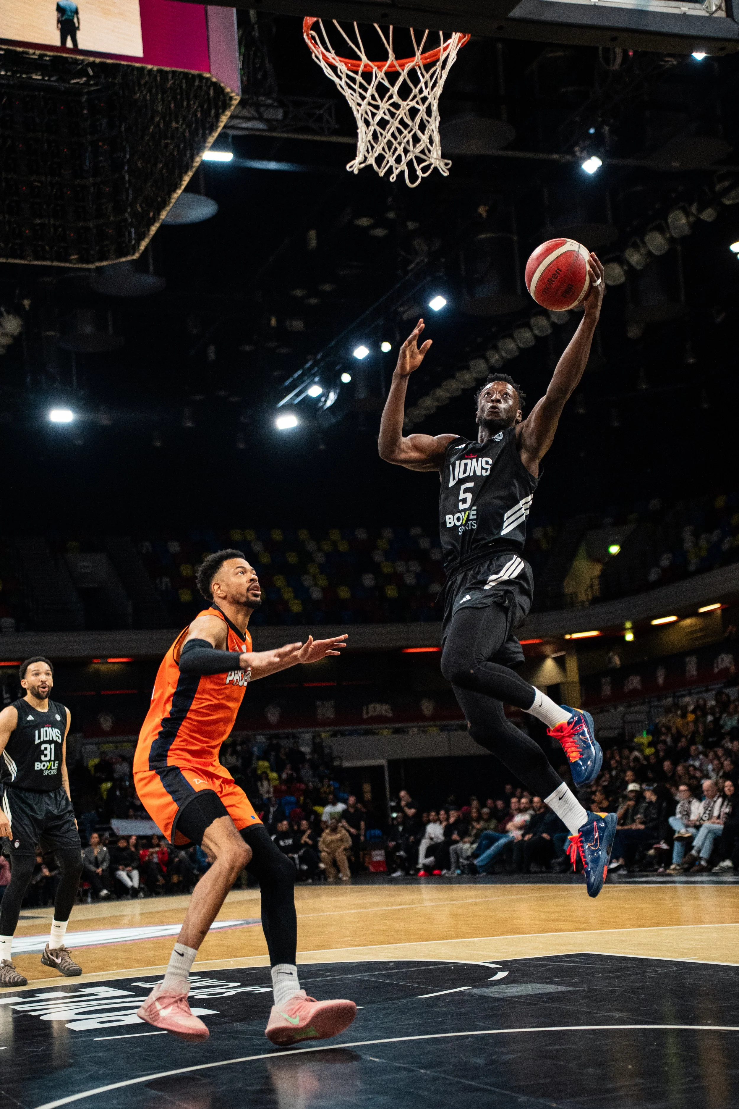 London Lions-01.jpeg