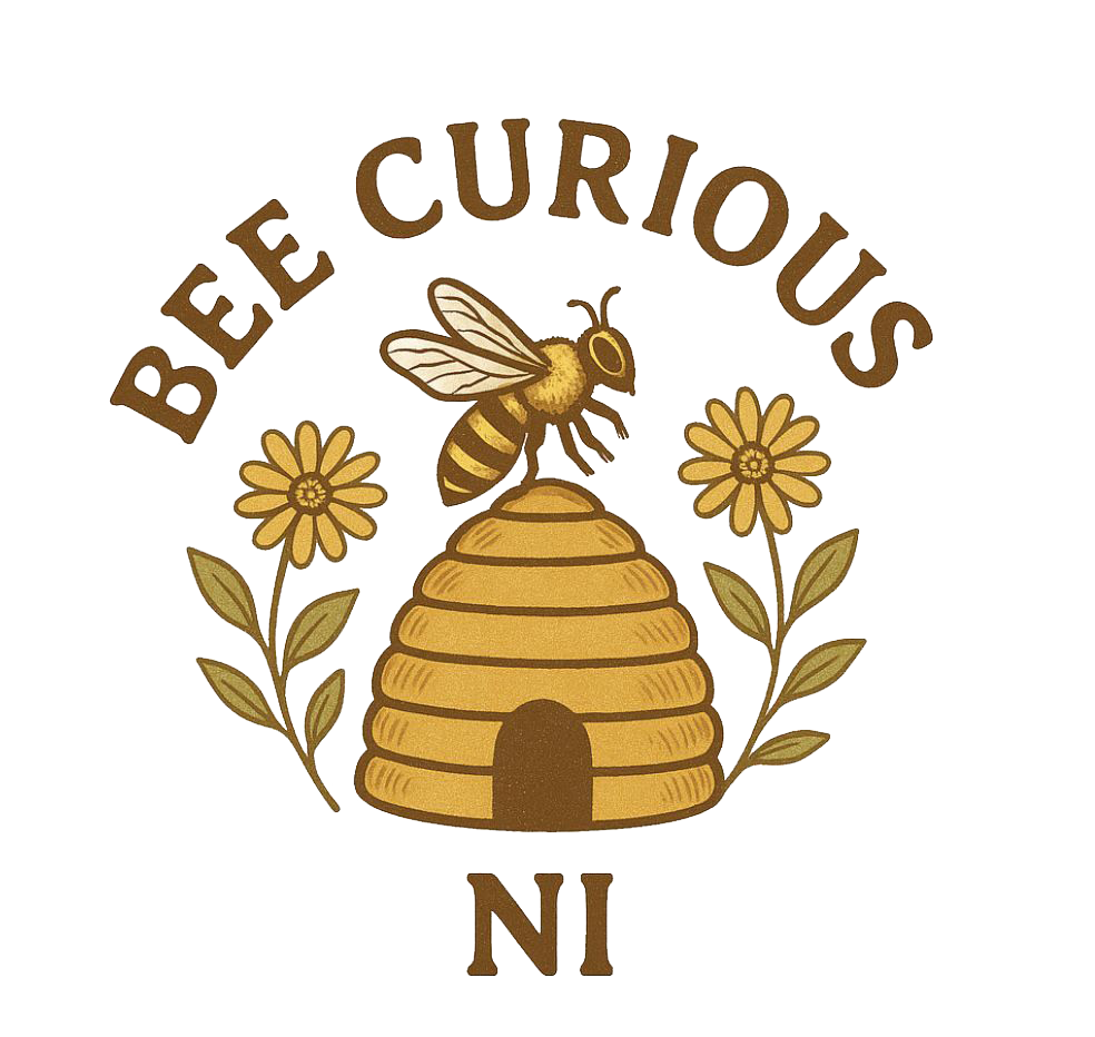 Bee Curious NI