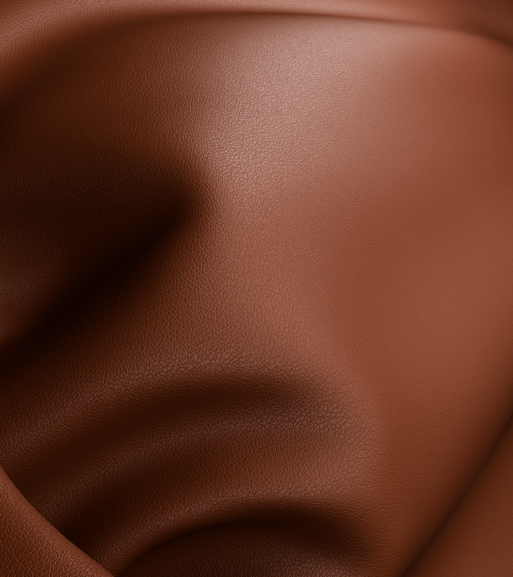 Screen pelle 1 _ bassa.png