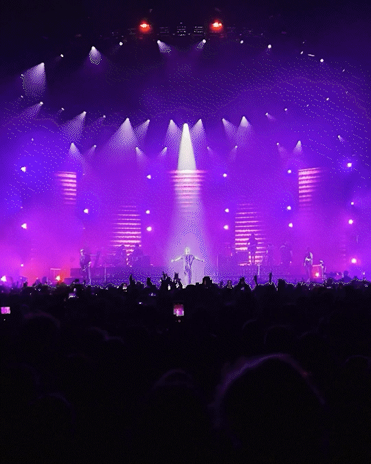 Paradiso 2_sito.gif