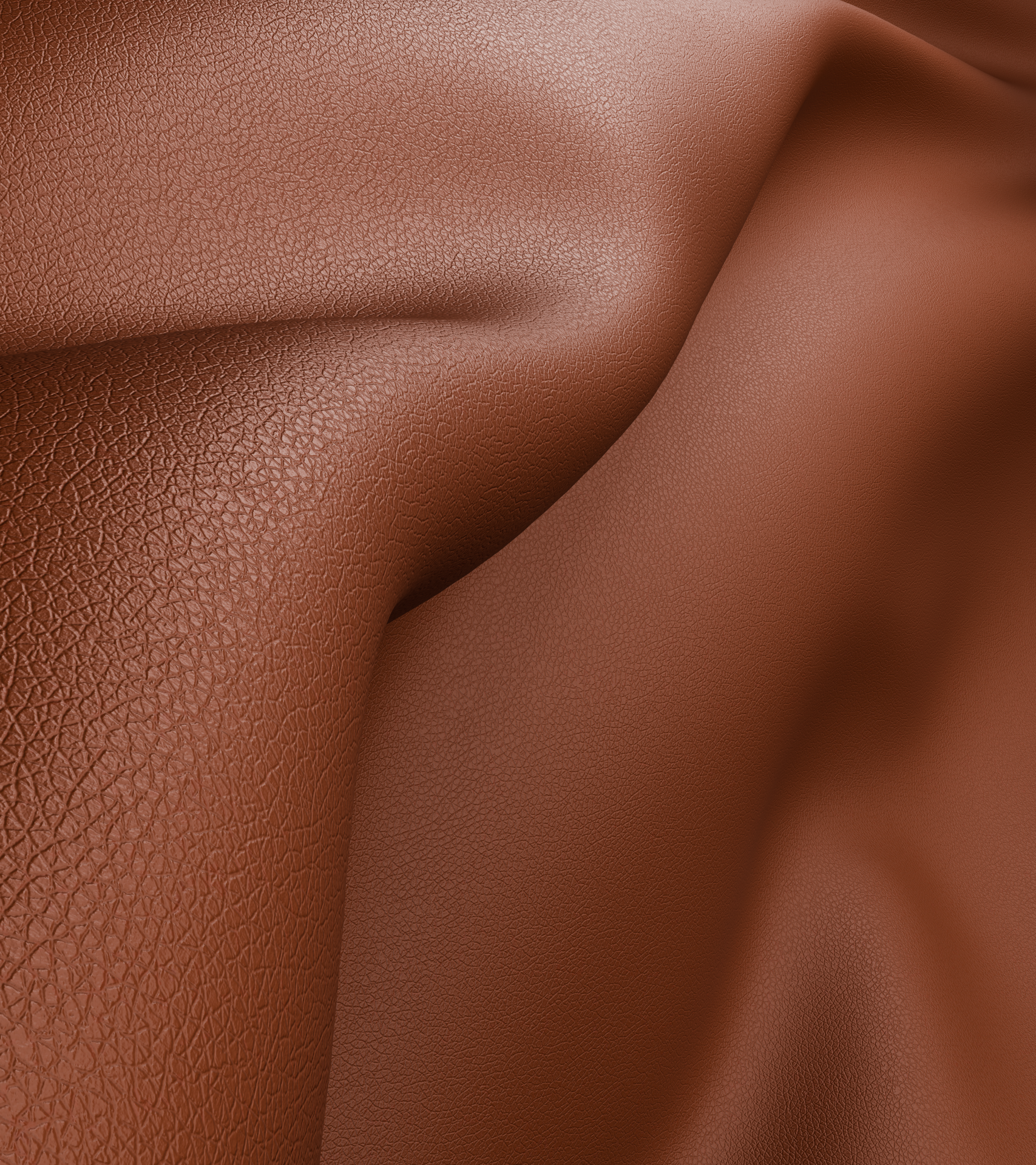 Screen pelle 2 _ bassa.png