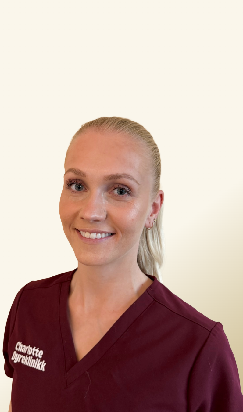 Et portrett av ePortrettbilde av Mia i burgunderrød klinikkuniform med Charlotte Dyreklinikk-logo. Hun smiler mot kameraet foran en lys, nøytral bakgrunnn kvinne med langt brunt hår, blå øyne og smil, iført en svart topp, stående mot en lys bakgrunn.