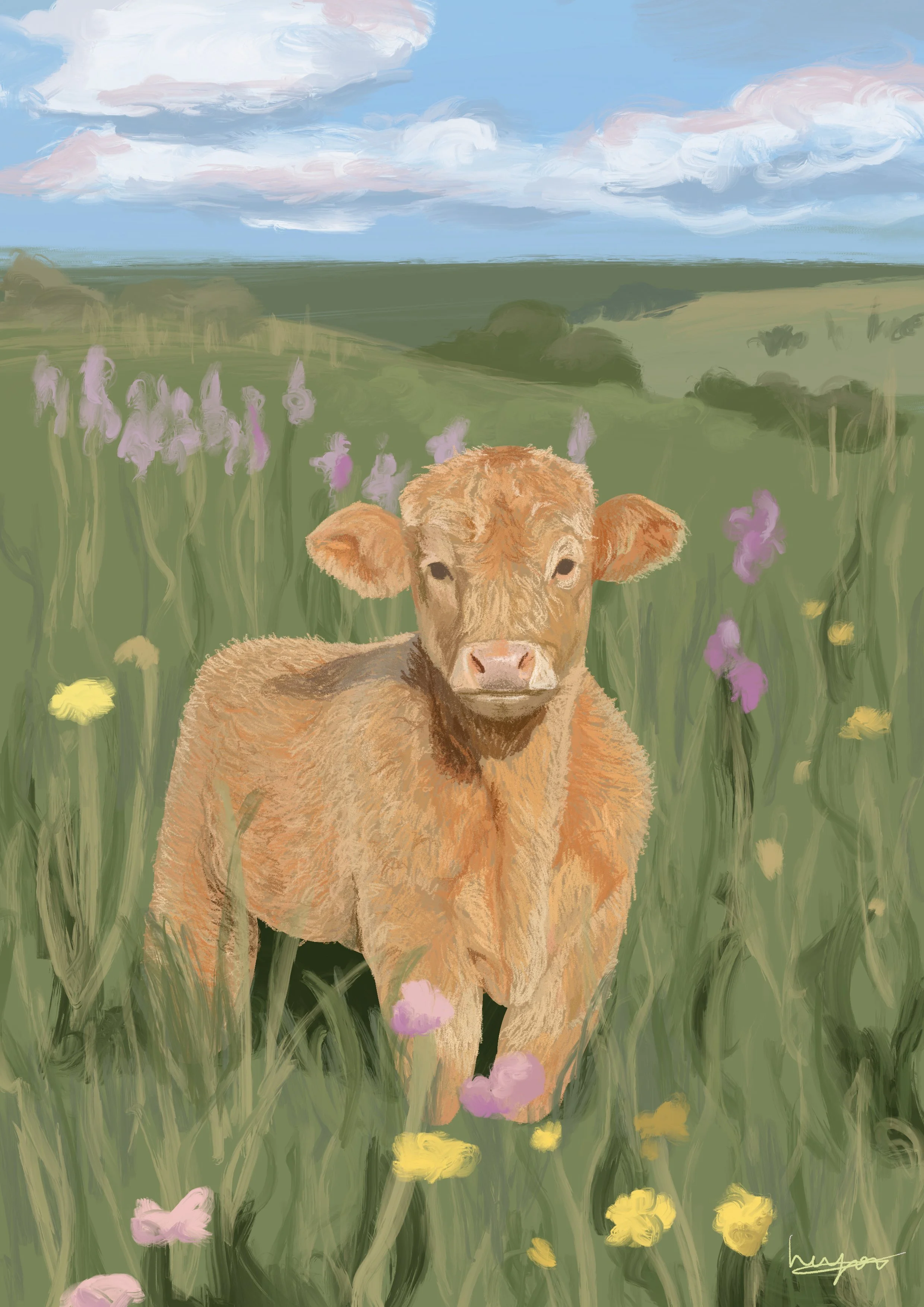 Cow Illustration '25