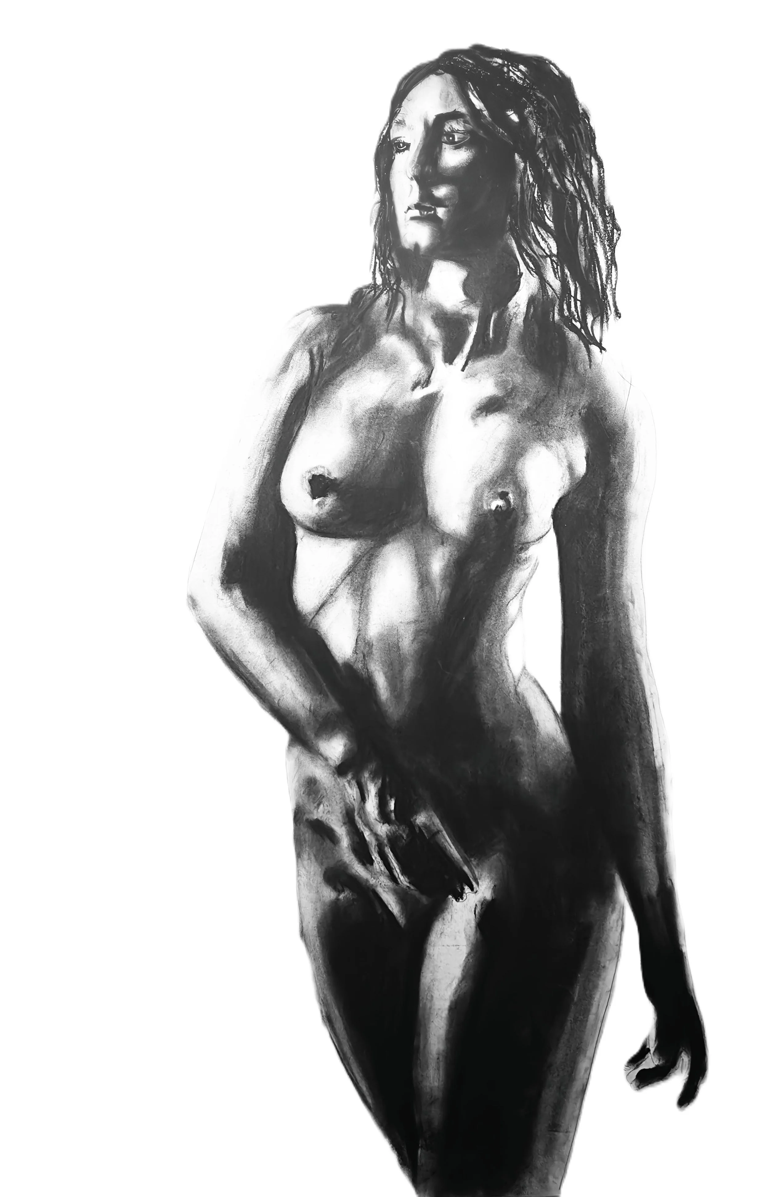 Artwork by Shaun Bell - Charcoal Figure Drawings | Studies in Form | Contemporary Figurative Art