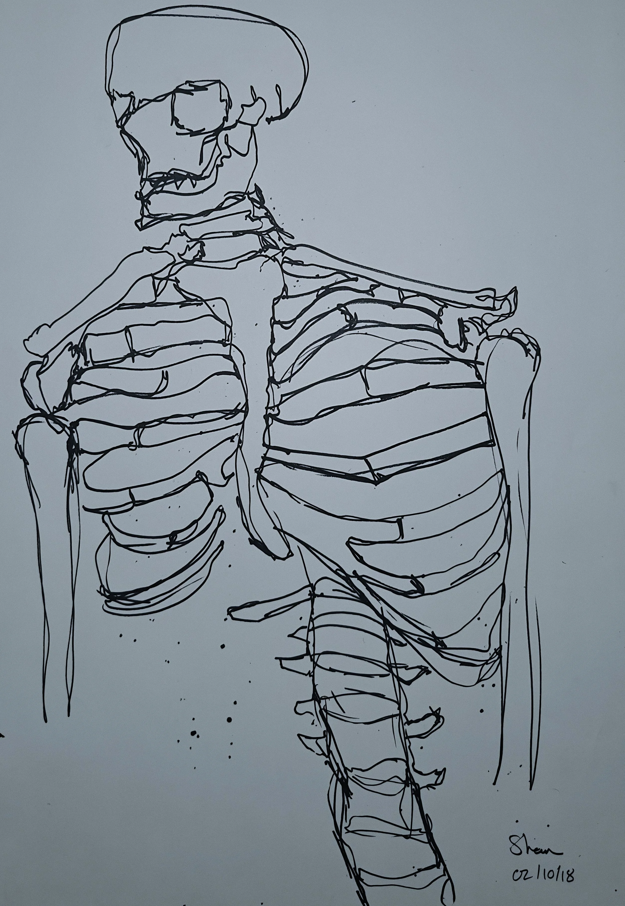 Artwork by Shaun Bell - Observed Structure – Life Drawing & Anatomy Studies
