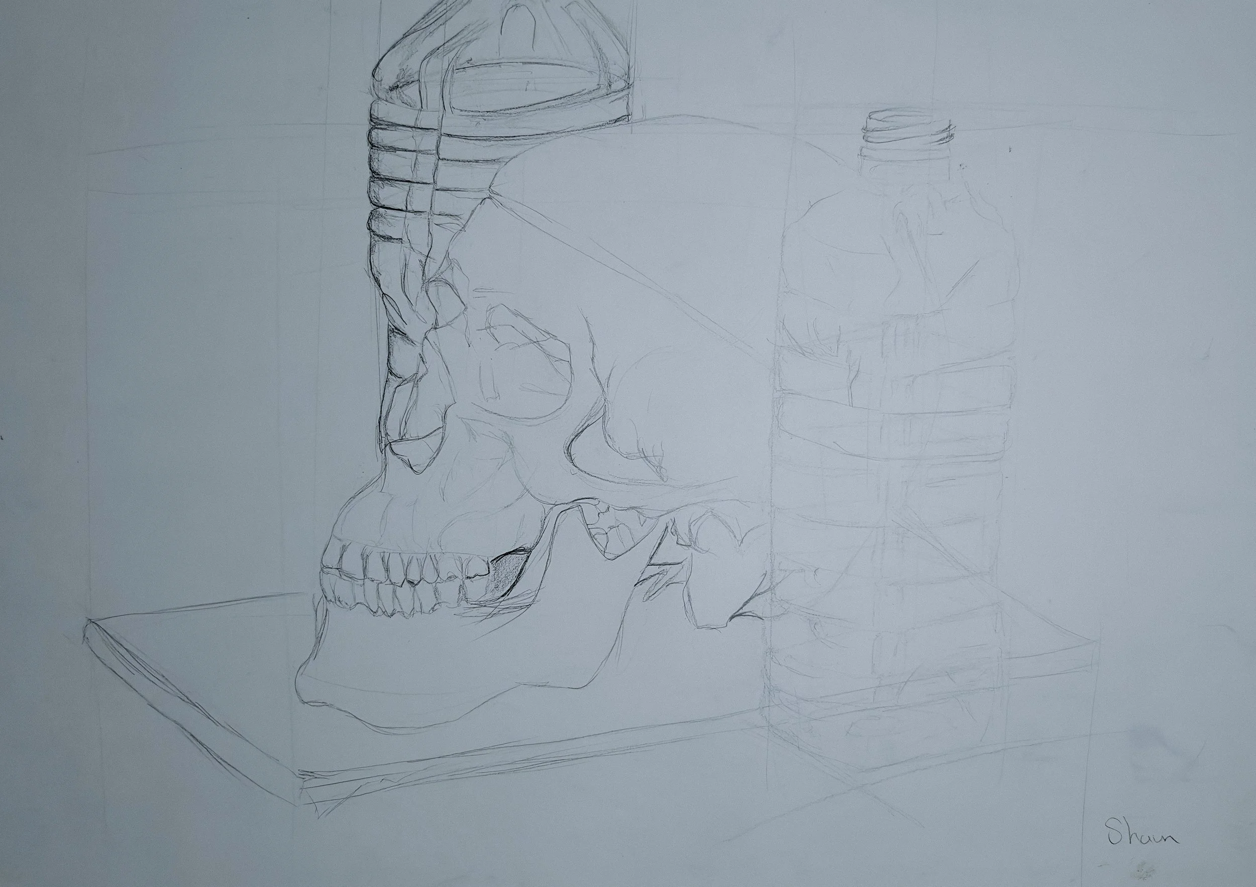 Artwork by Shaun Bell - Observed Structure – Life Drawing & Anatomy Studies