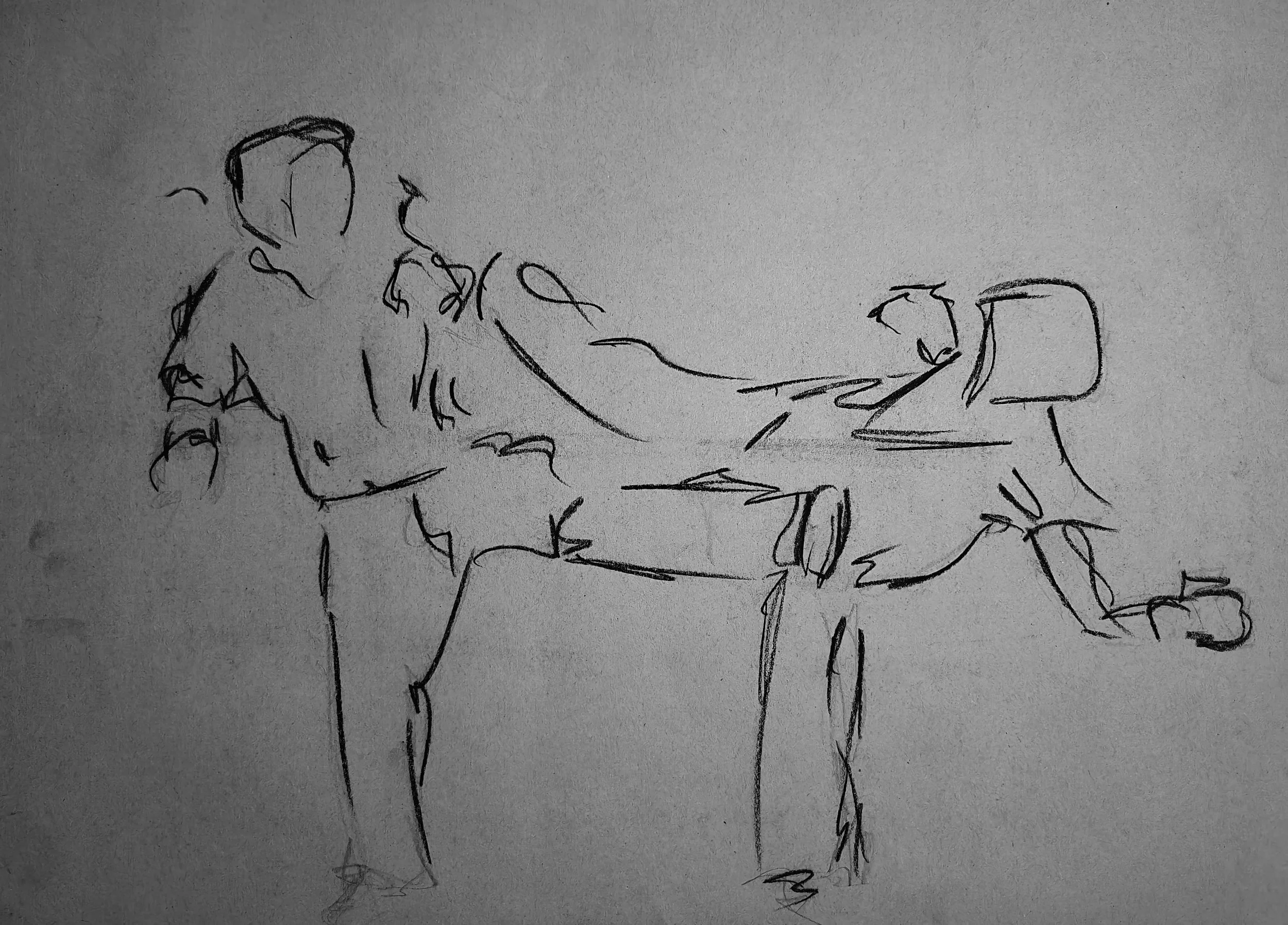 Artwork by Shaun Bell - Observed Structure – Life Drawing & Anatomy Studies