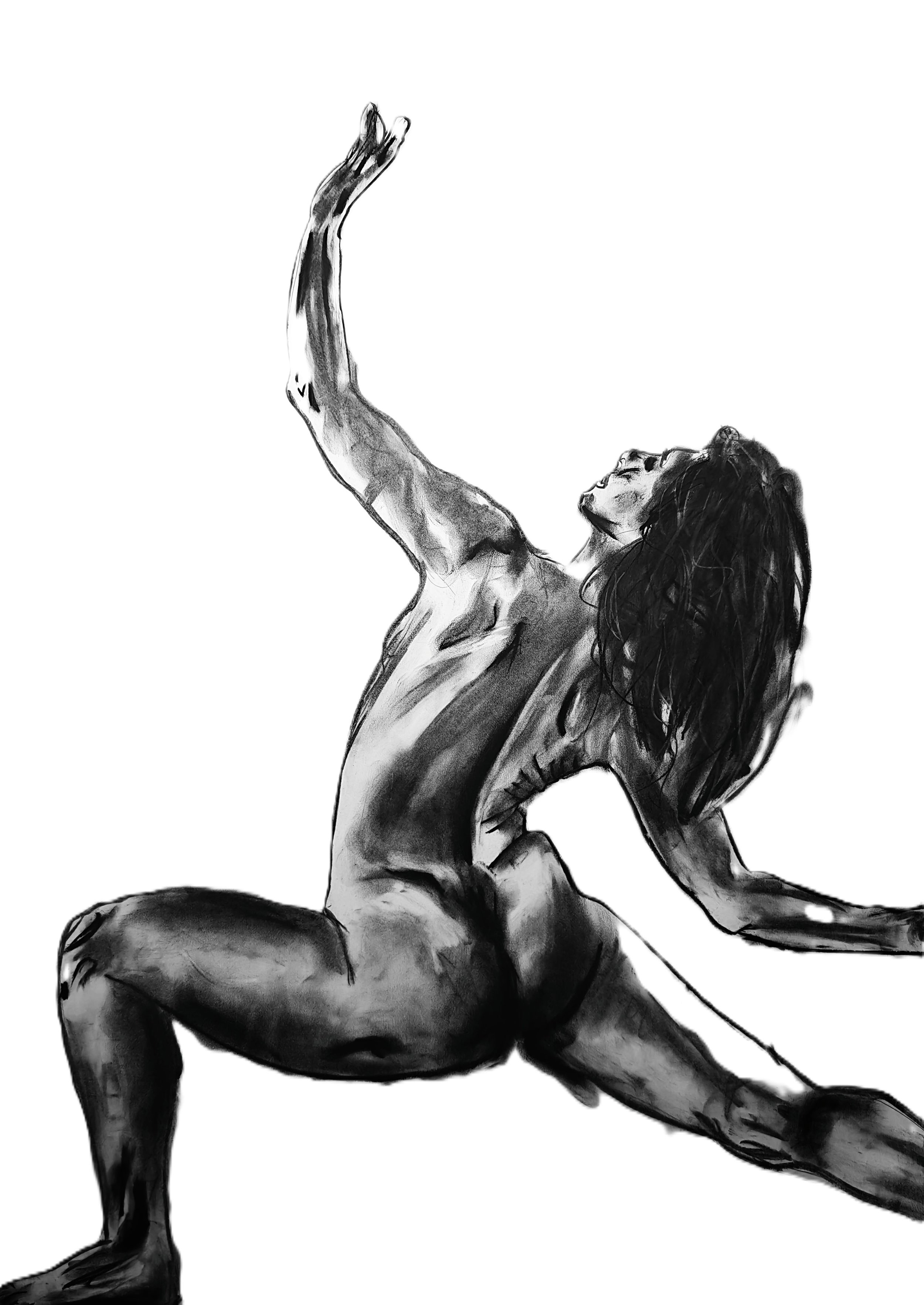 Artwork by Shaun Bell - Charcoal Figure Drawings | Studies in Form | Contemporary Figurative Art