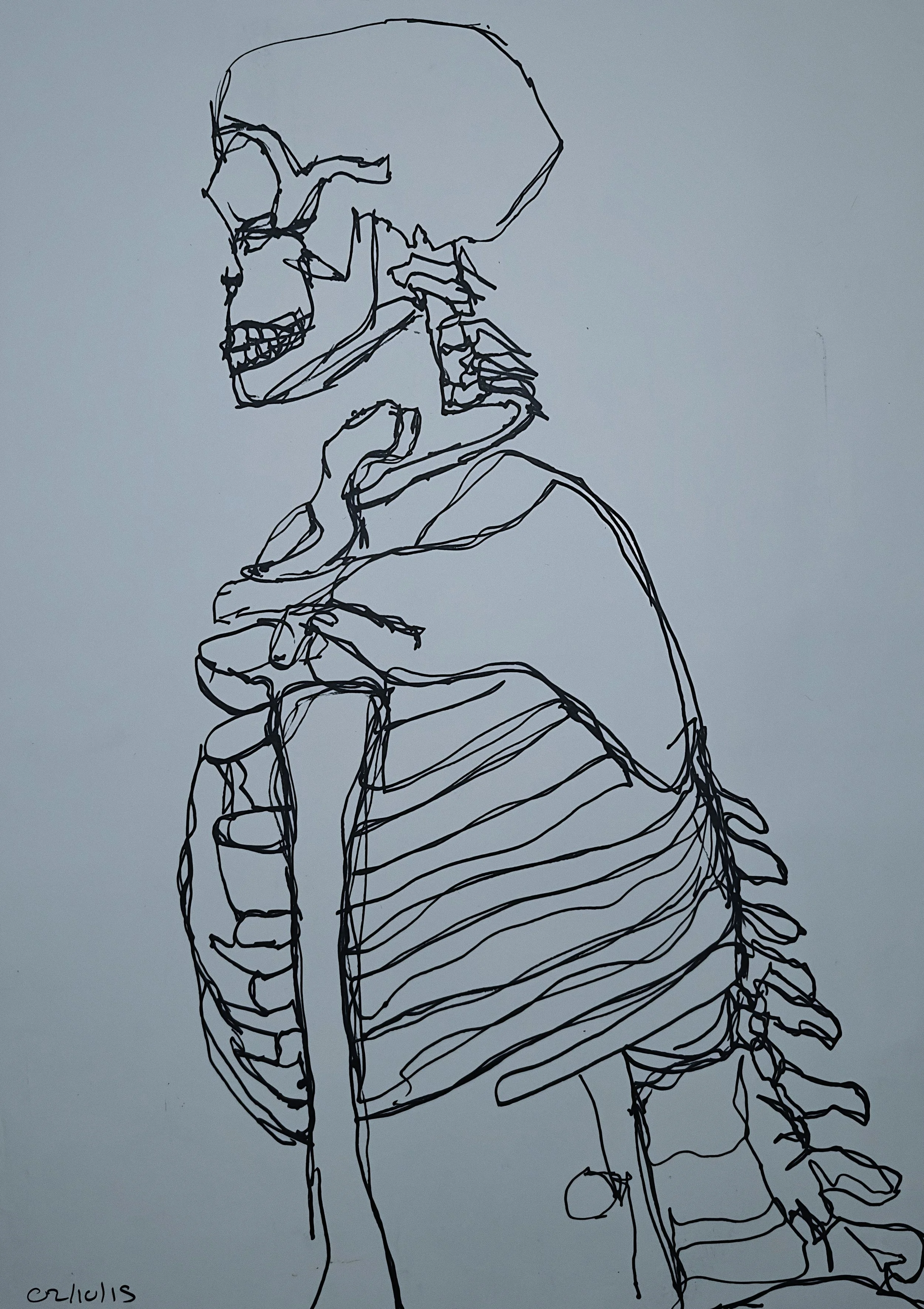 Artwork by Shaun Bell - Observed Structure – Life Drawing & Anatomy Studies